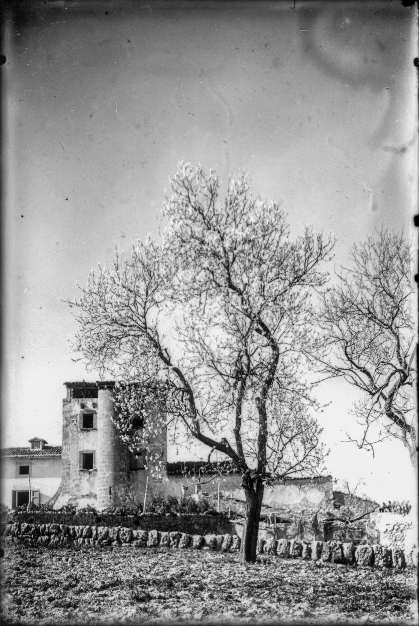 Son Armadans, Son Torrella