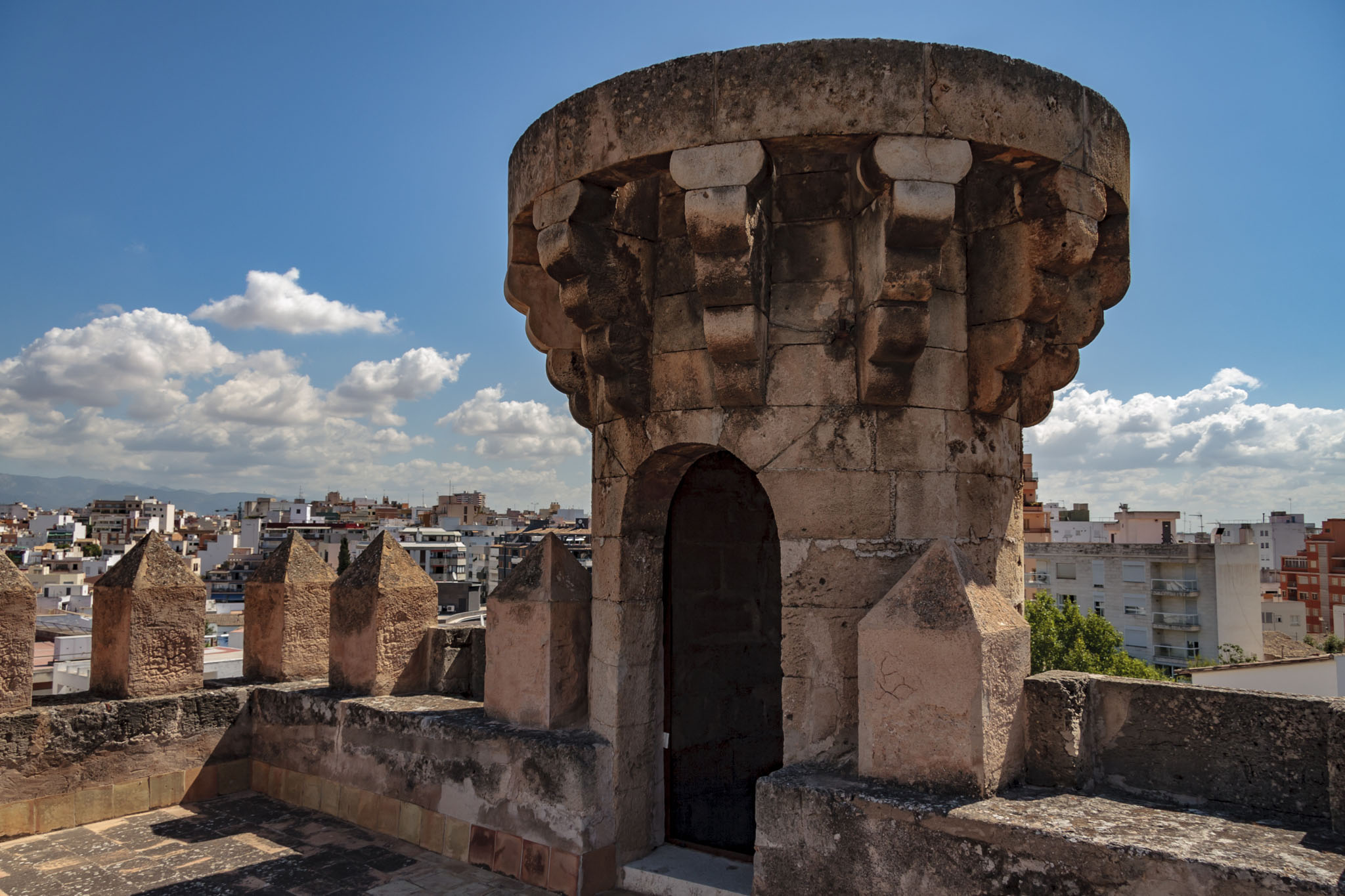 Son Armadans, Son Torrella