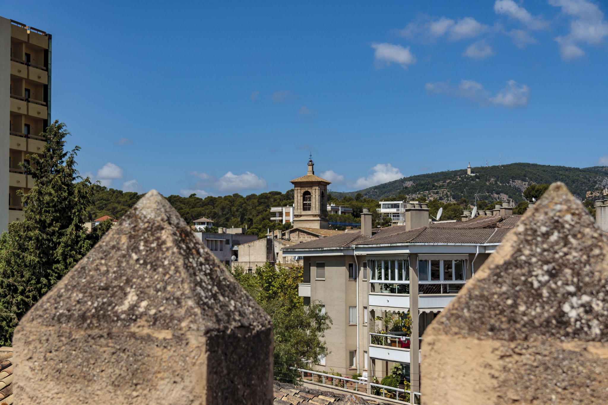 Son Armadans, Son Torrella