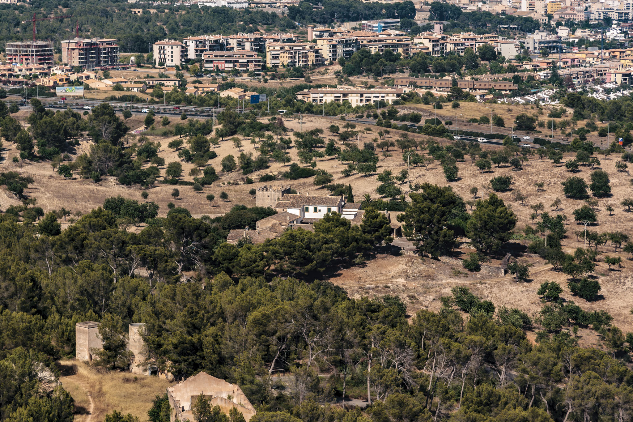 Son Berga, Son Sunyer