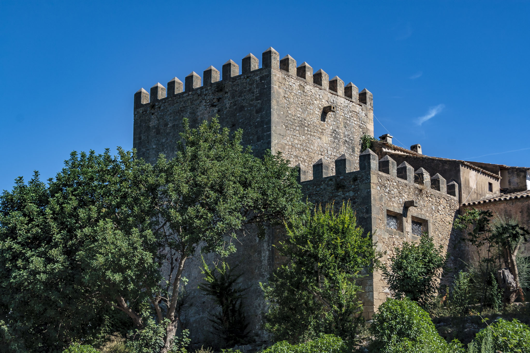 Son Berga, Son Sunyer