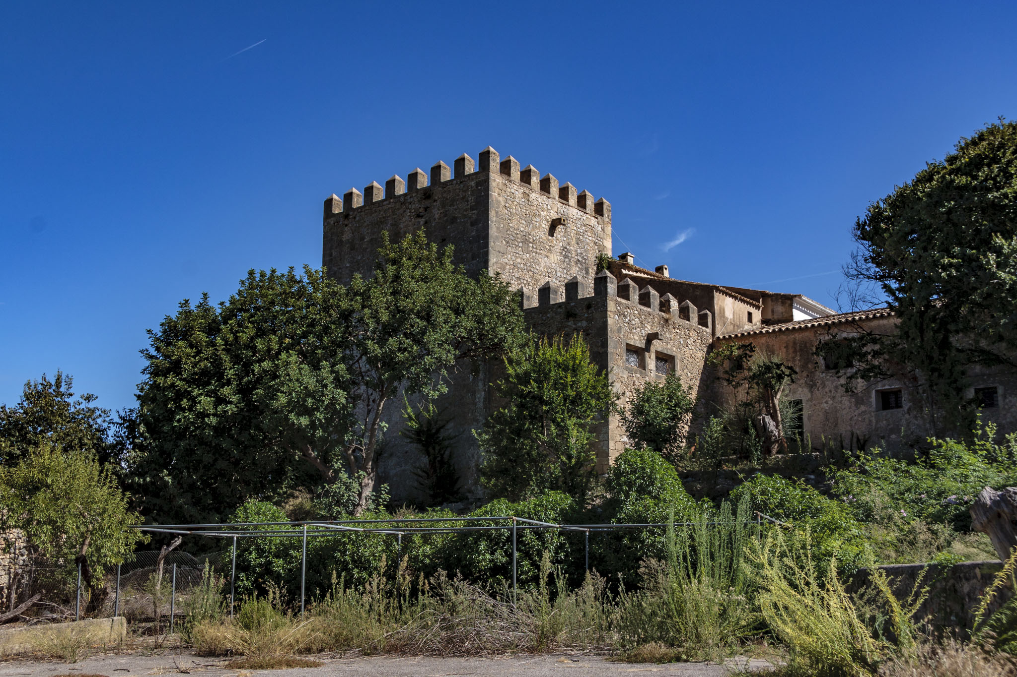 Son Berga, Son Sunyer