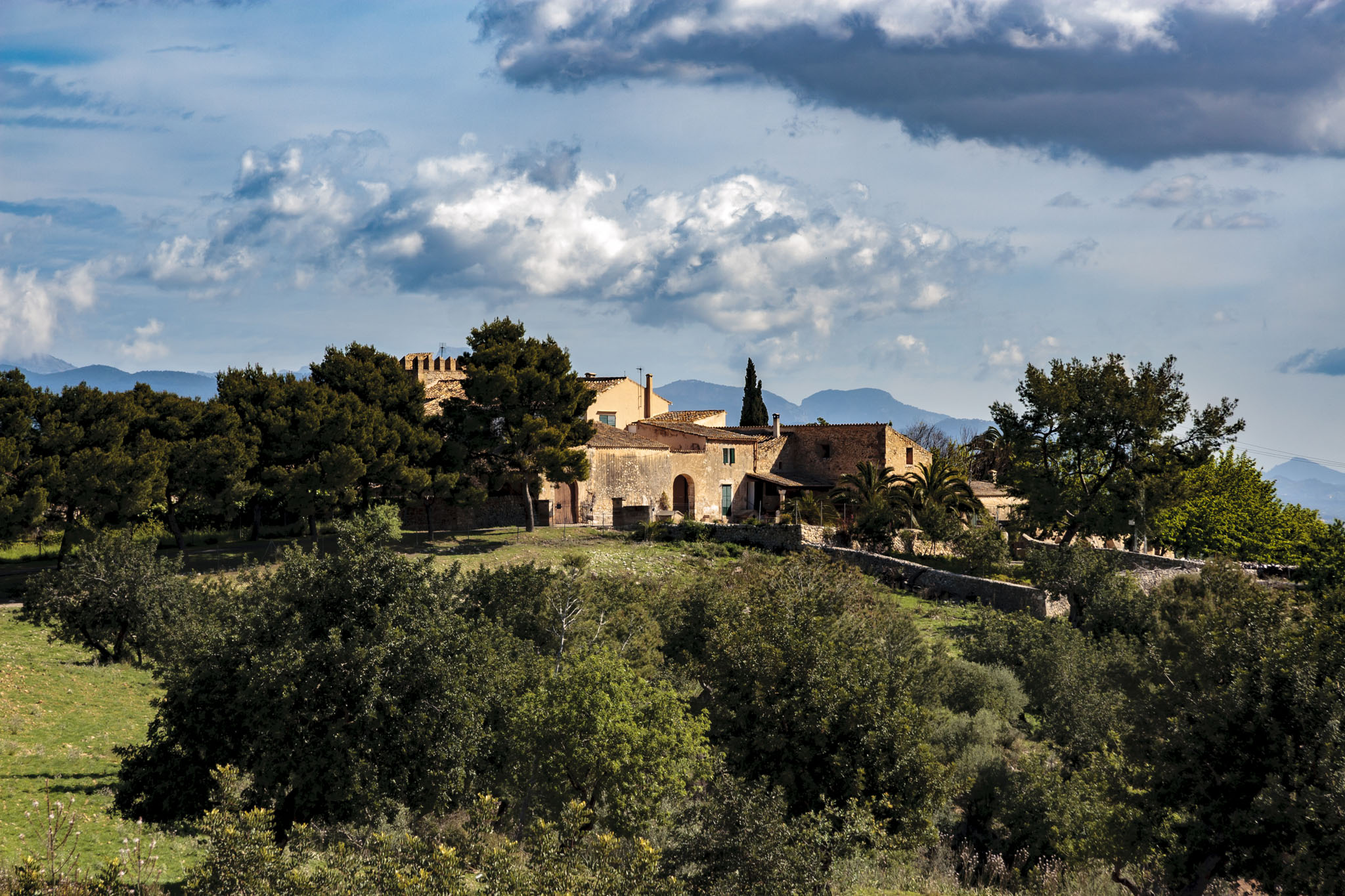 Son Berga, Son Sunyer