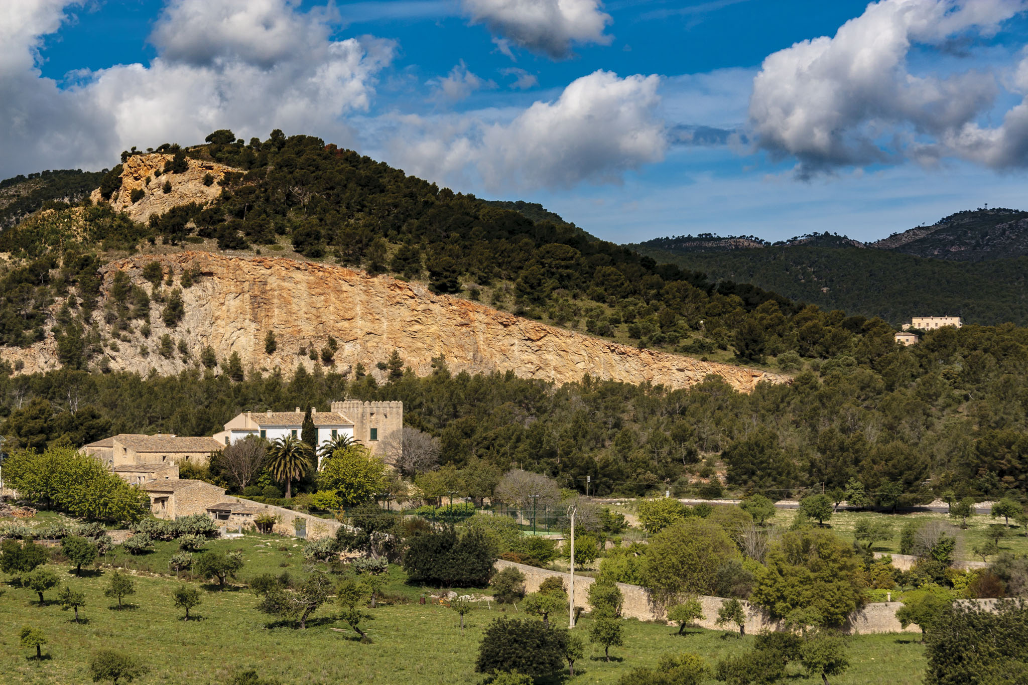 Son Berga, Son Sunyer