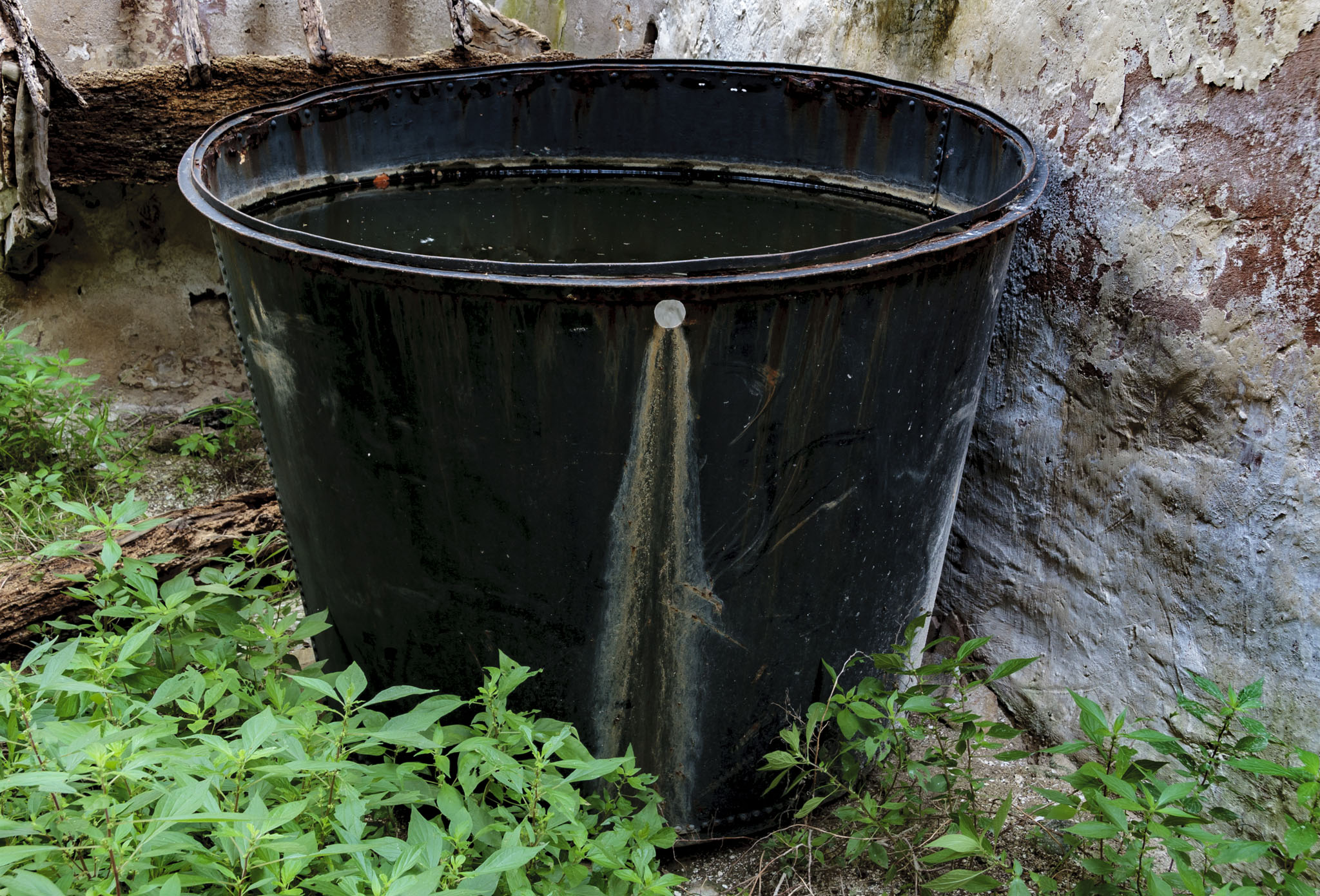 Son Sureda, Son Suredeta