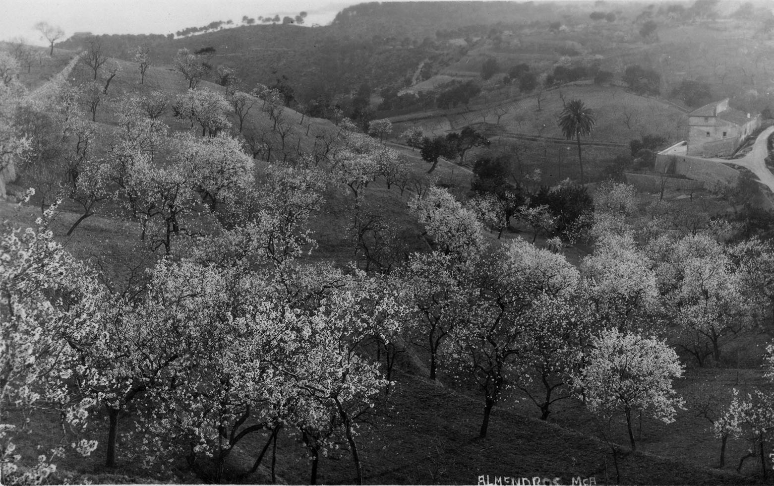 Can Vell, Son Vell, Bellver, Bellveure