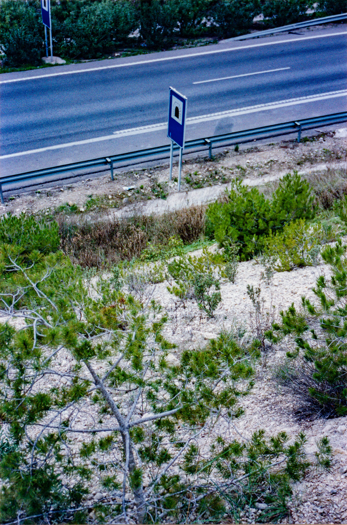 Can Vell, Son Vell, Bellver, Bellveure