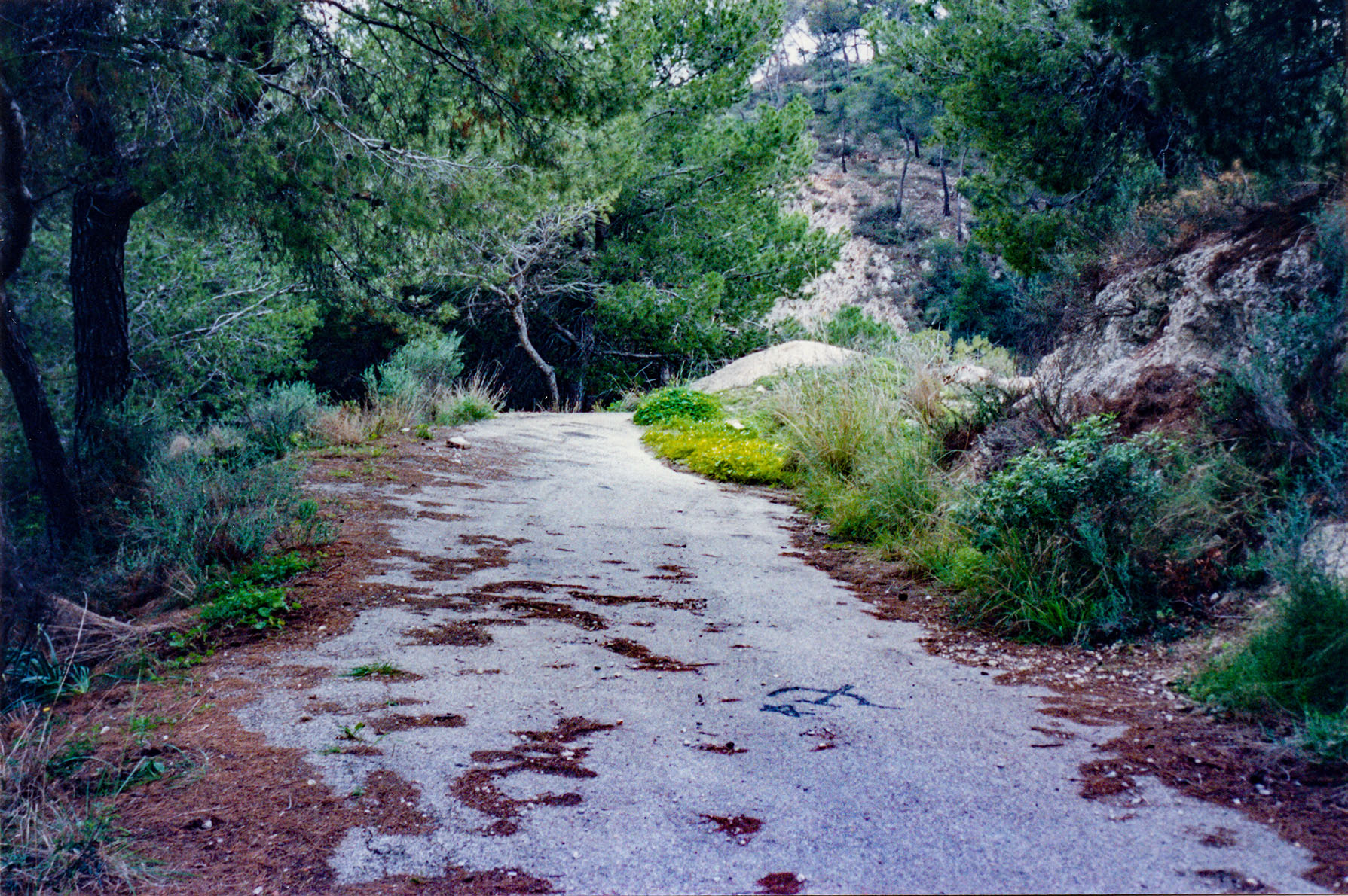 Can Vell, Son Vell, Bellver, Bellveure