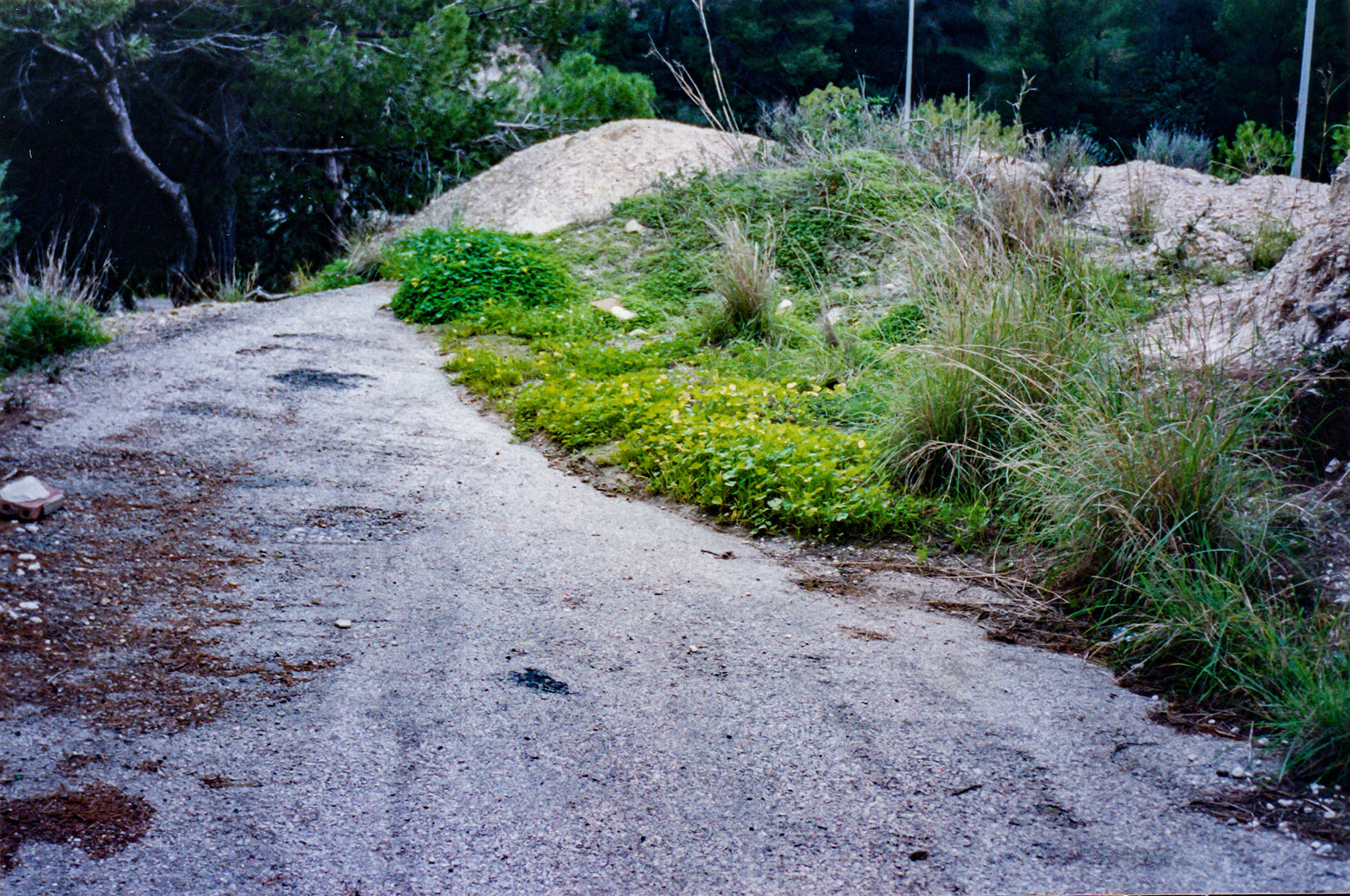 Can Vell, Son Vell, Bellver, Bellveure