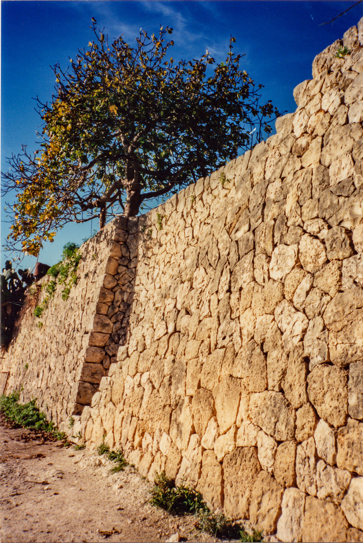 Can Vell, Son Vell, Bellver, Bellveure