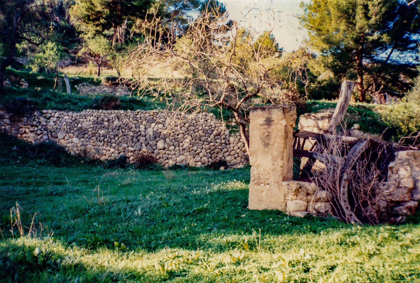 Can Vell, Son Vell, Bellver, Bellveure