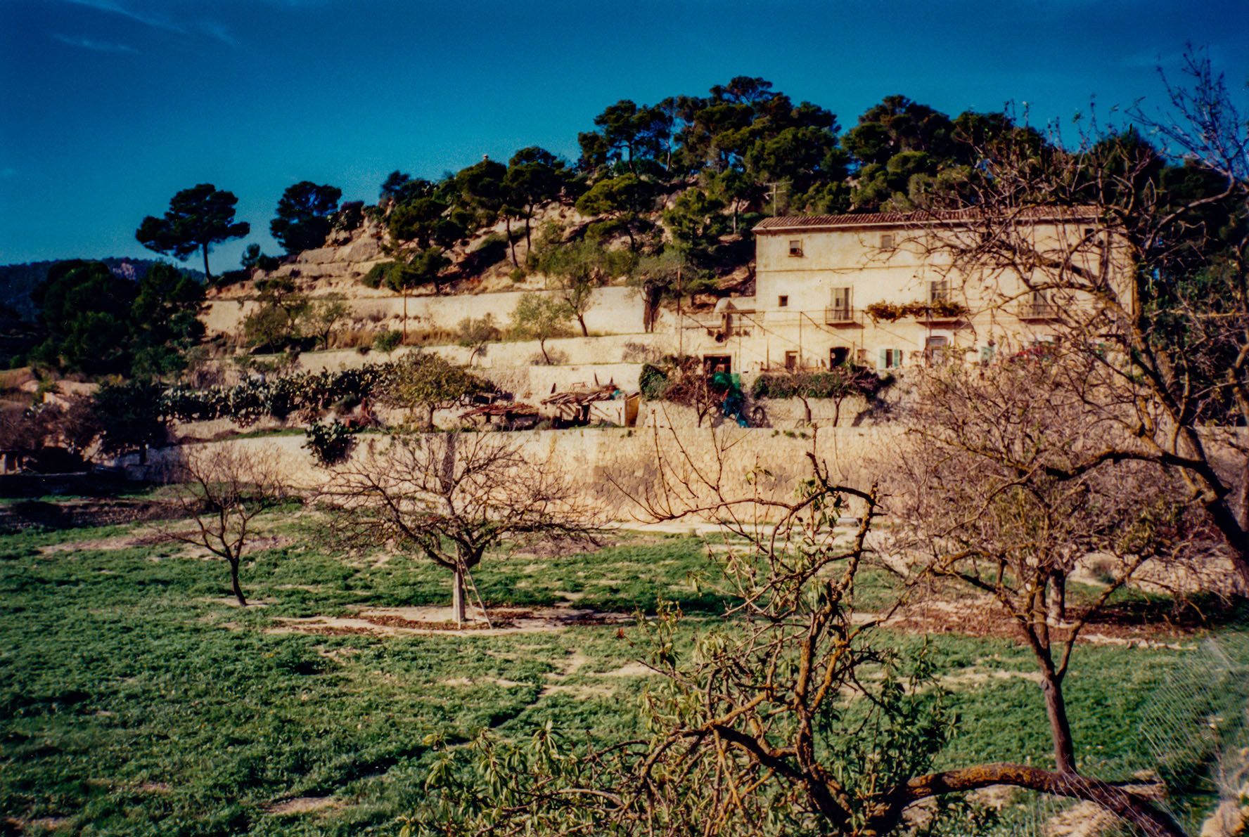 Can Vell, Son Vell, Bellver, Bellveure