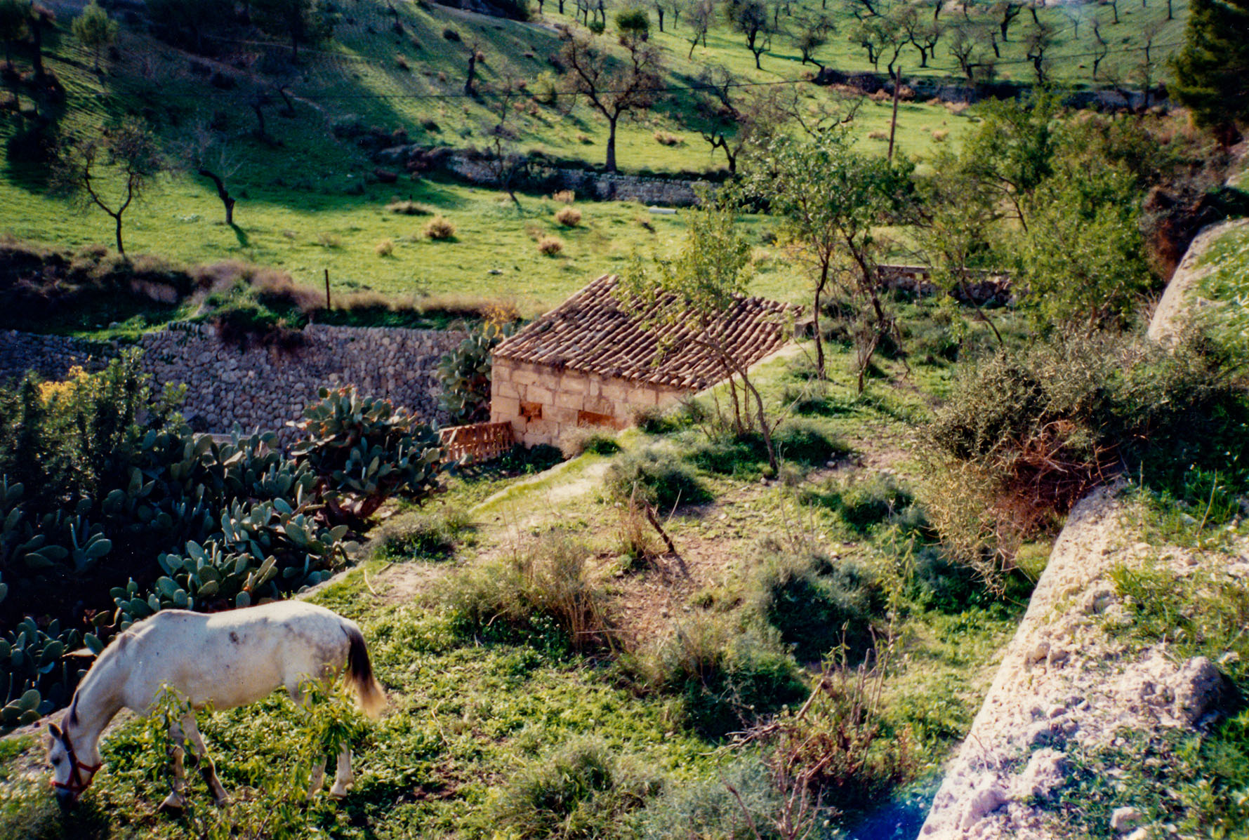 Can Vell, Son Vell, Bellver, Bellveure