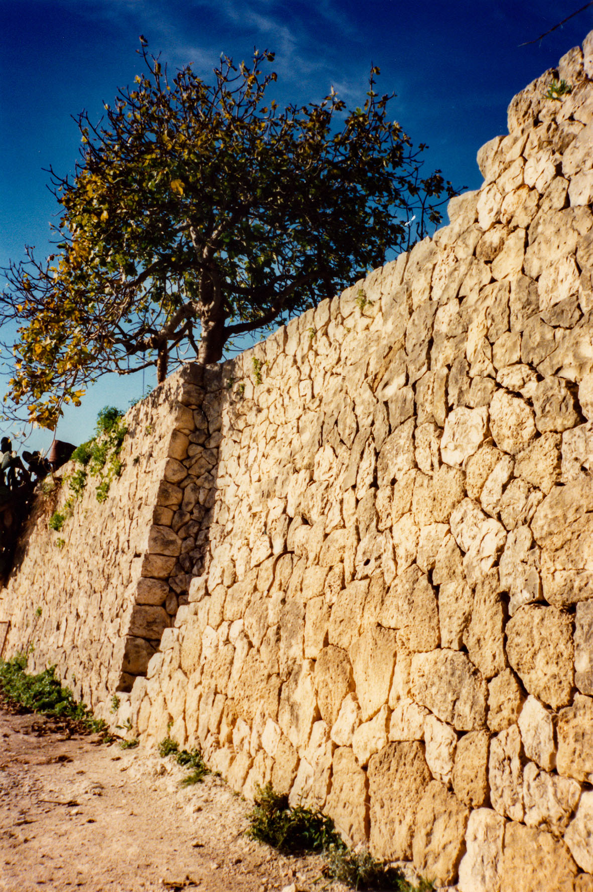 Can Vell, Son Vell, Bellver, Bellveure