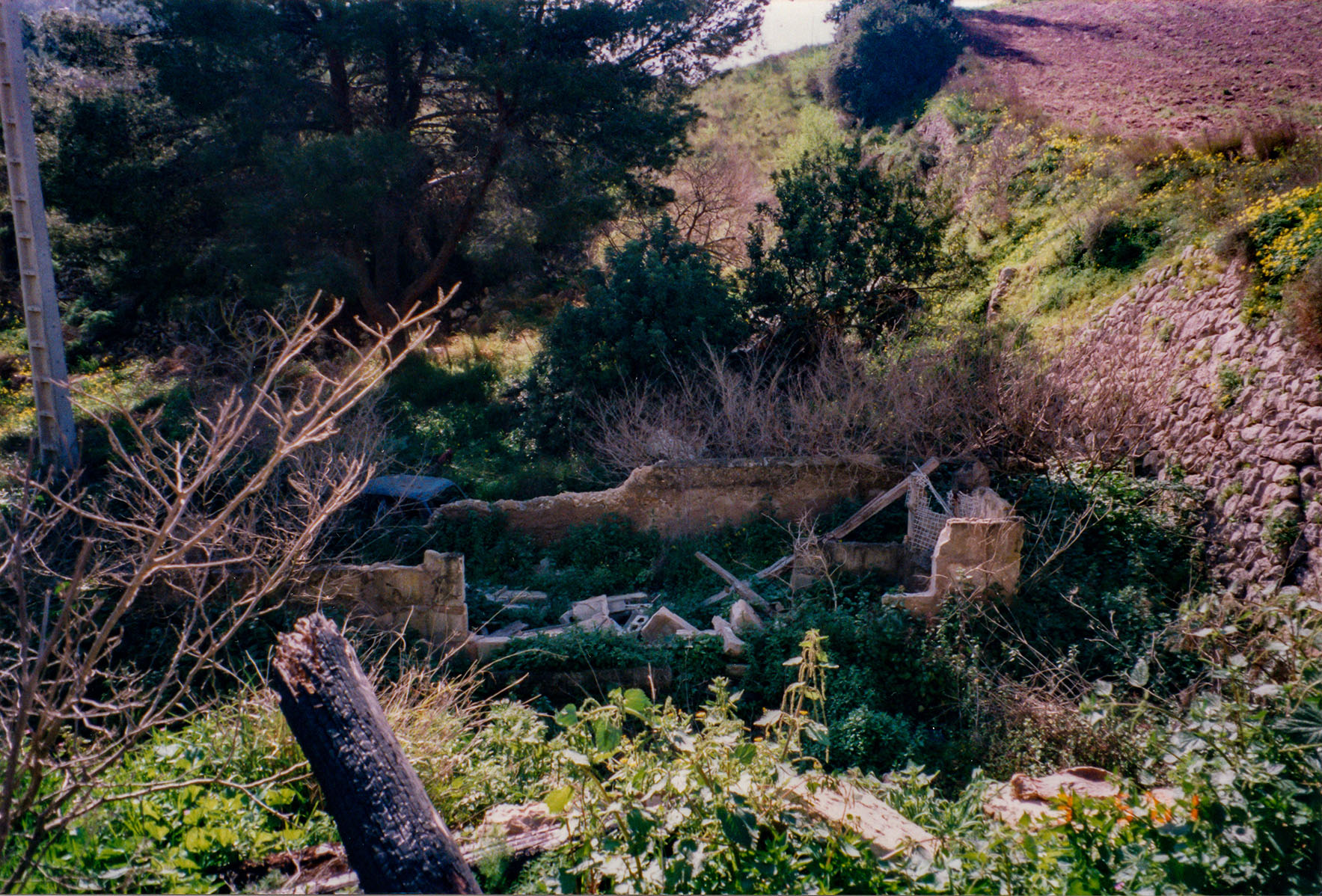 Can Vell, Son Vell, Bellver, Bellveure