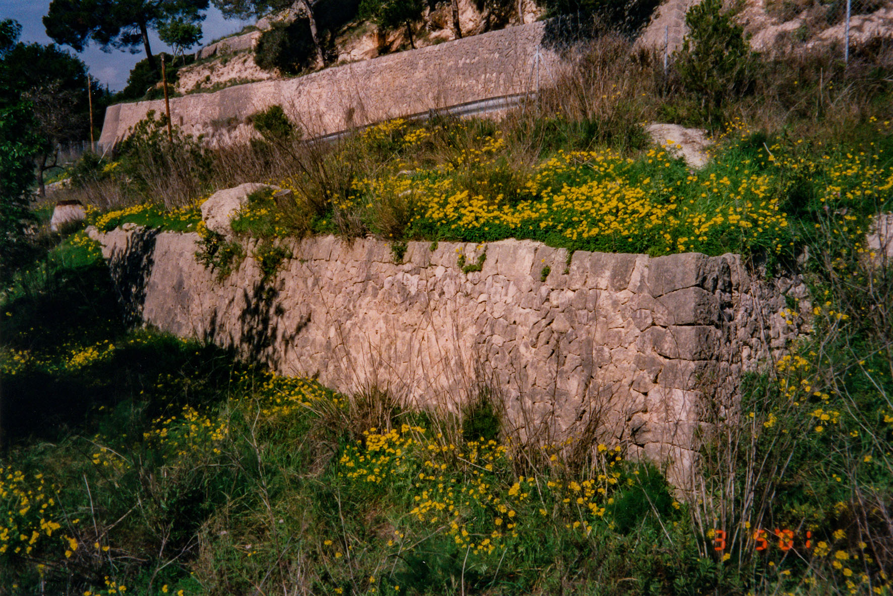 Can Vell, Son Vell, Bellver, Bellveure