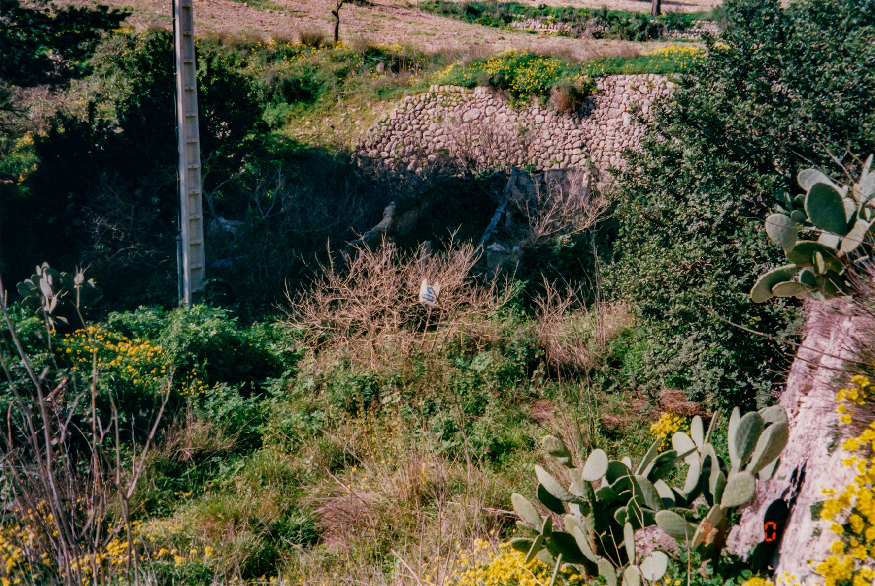 Can Vell, Son Vell, Bellver, Bellveure