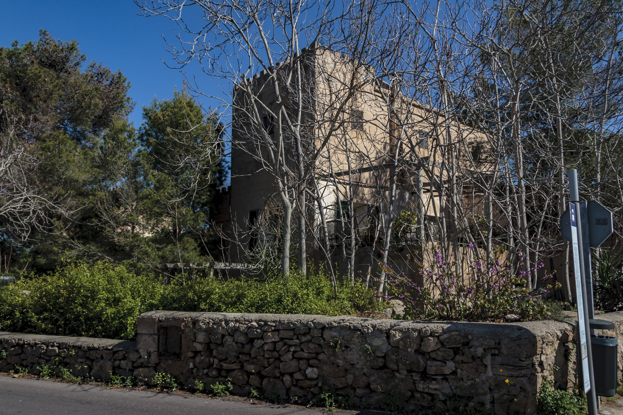 Son Vic, Rafal Falcó