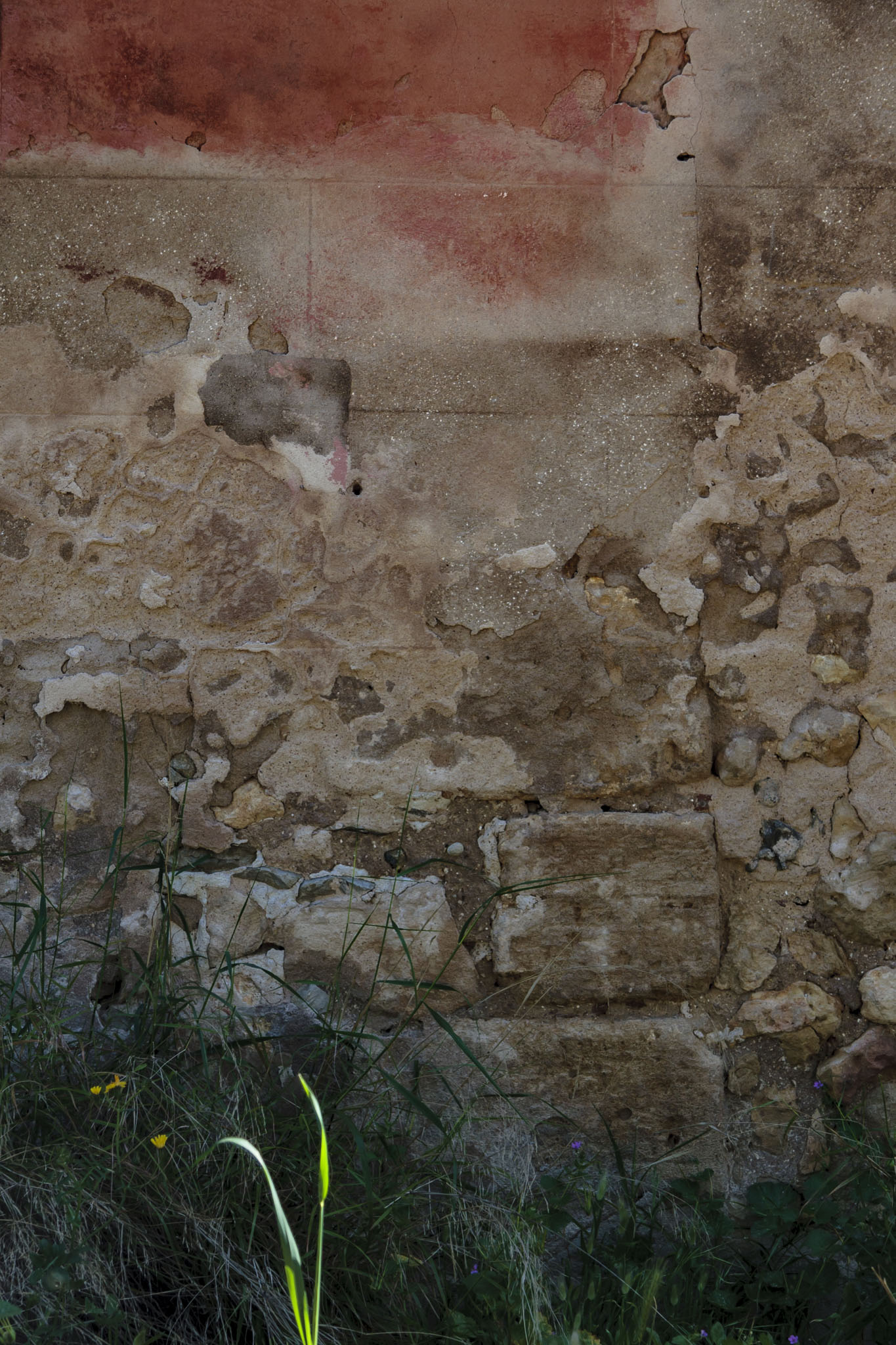 Son Vic, Rafal Falcó