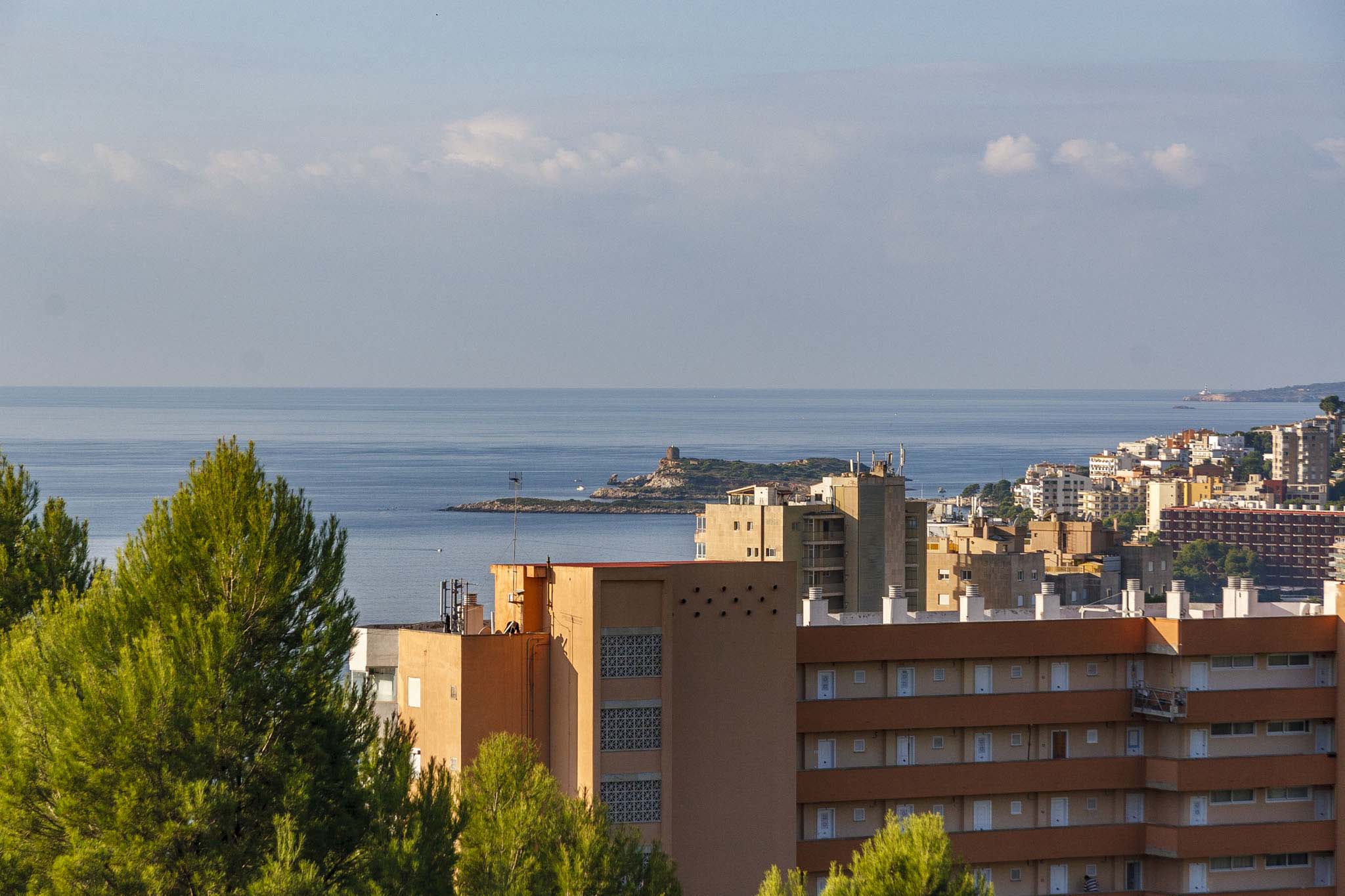 Can Ceba