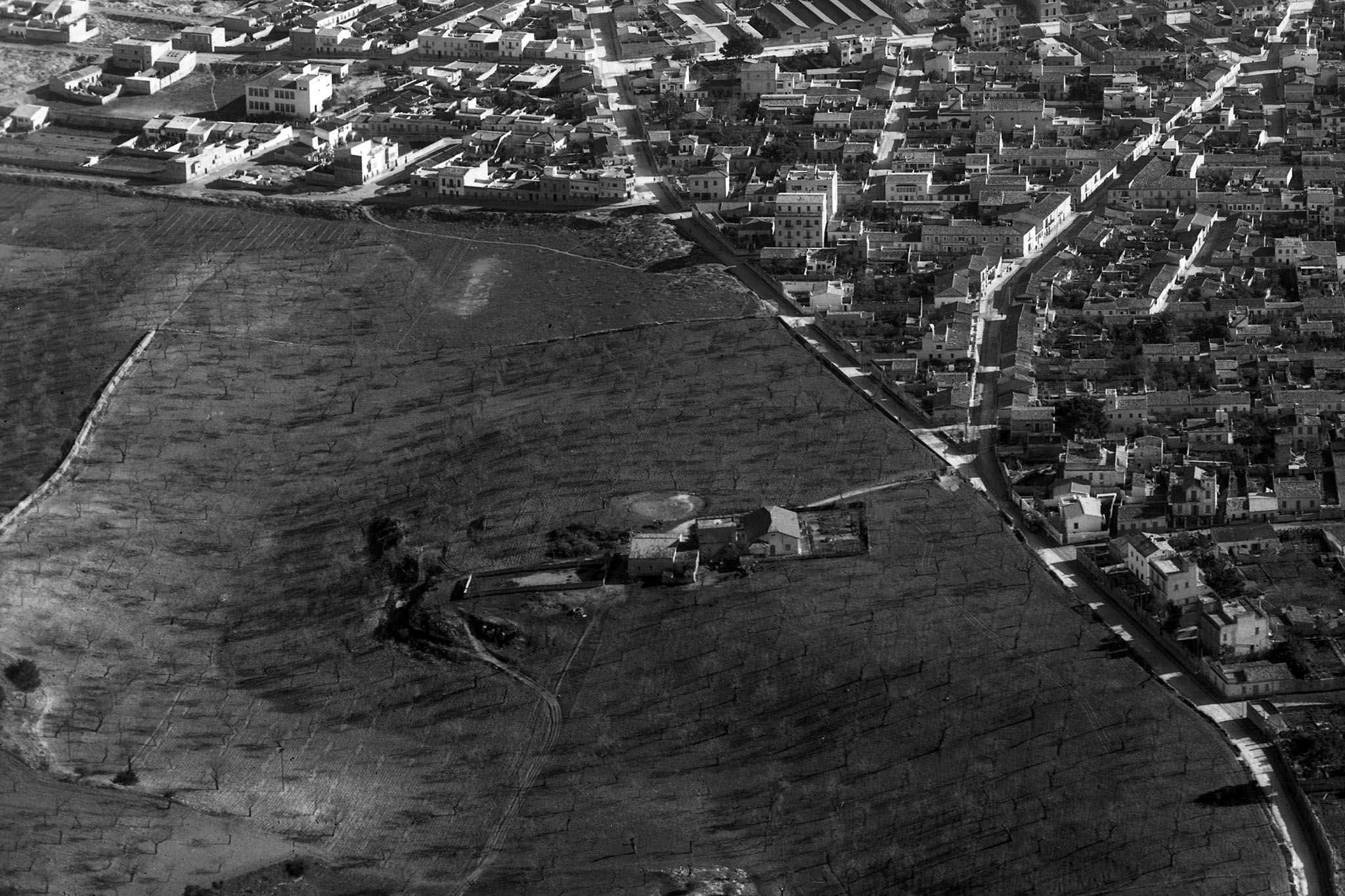 Son Dameto, Les Vinyes, Les Torres, Les Dues Torres