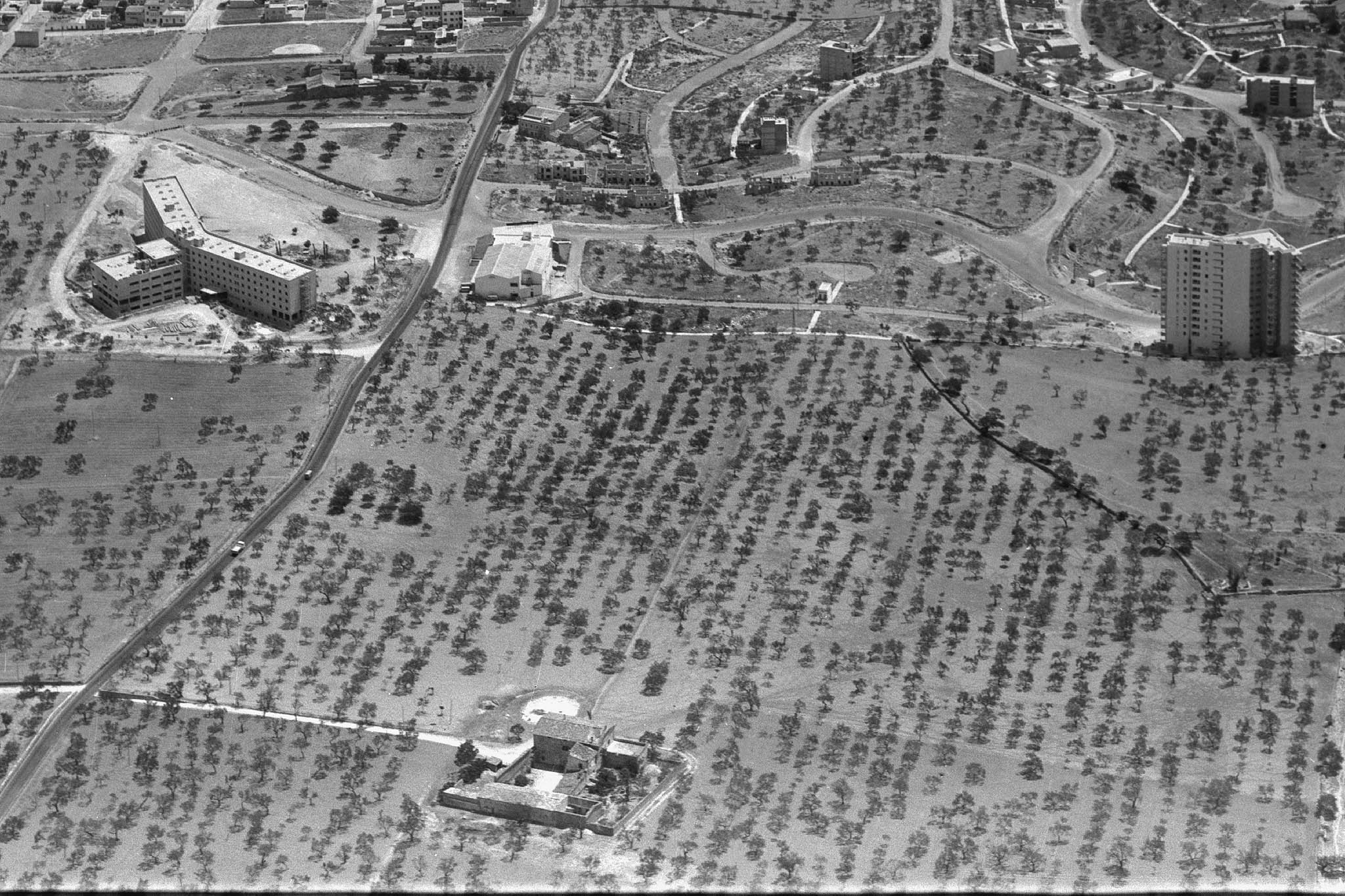 Son Dameto, Les Vinyes, Les Torres, Les Dues Torres