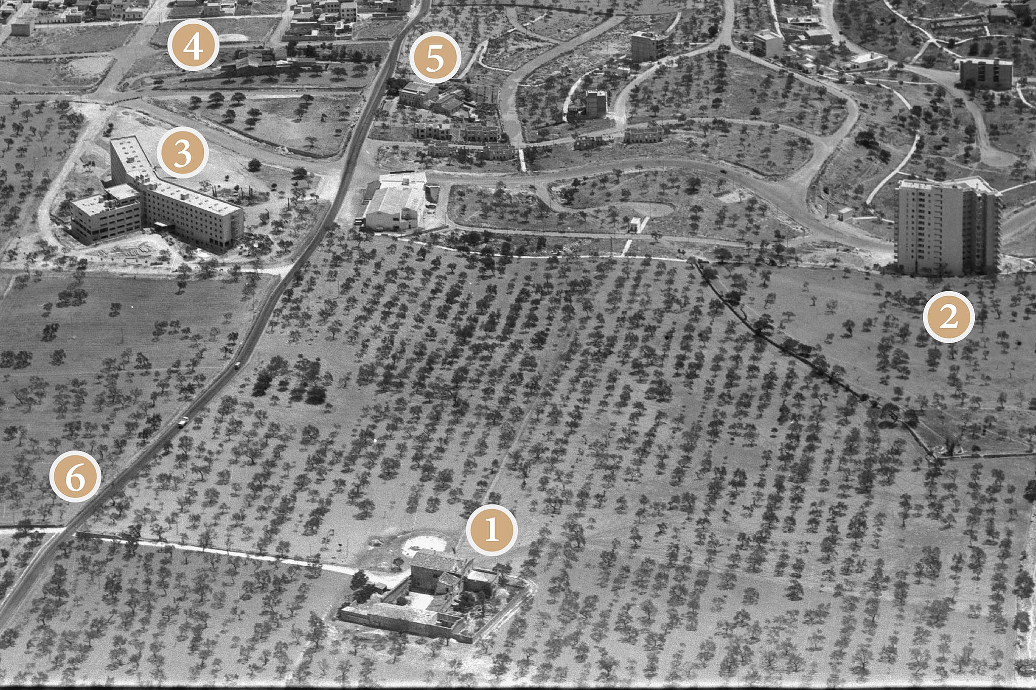 Son Dameto, Les Vinyes, Les Torres, Les Dues Torres