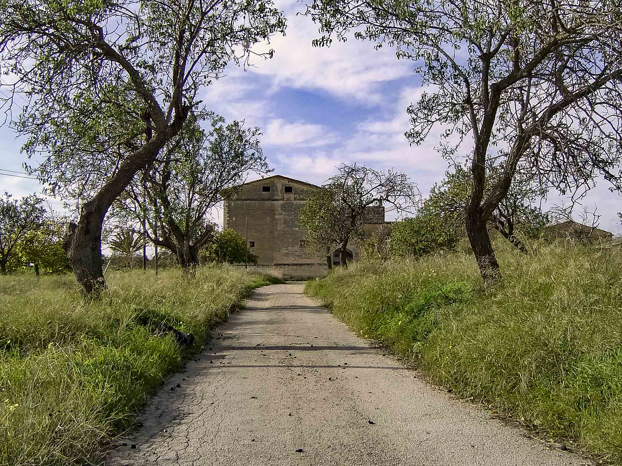 Son Dameto, Les Vinyes, Les Torres, Les Dues Torres