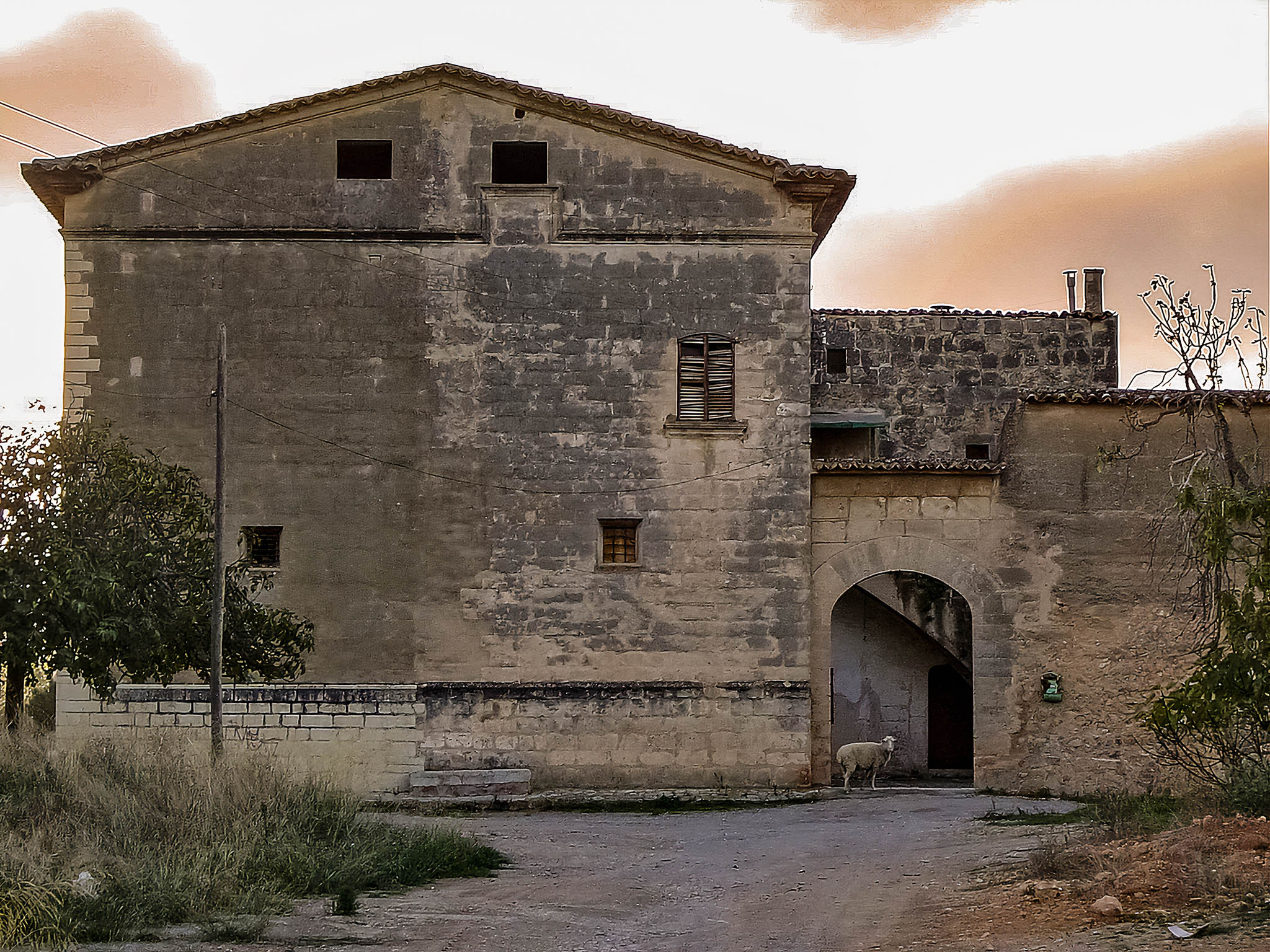 Son Dameto, Les Vinyes, Les Torres, Les Dues Torres