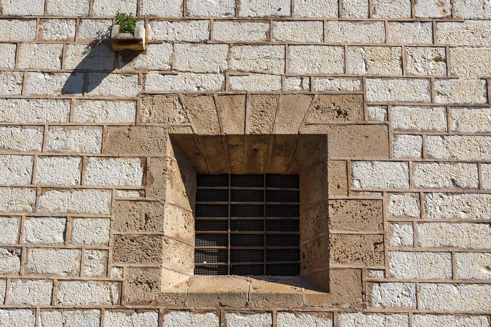 Son Dameto, Les Vinyes, Les Torres, Les Dues Torres