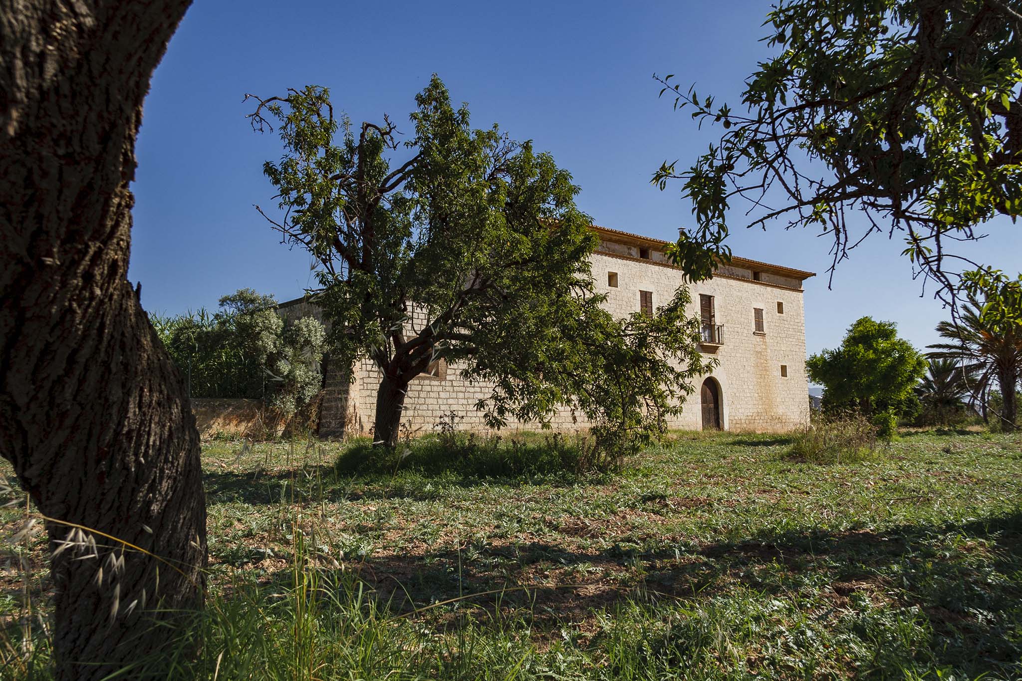 Son Dameto, Les Vinyes, Les Torres, Les Dues Torres