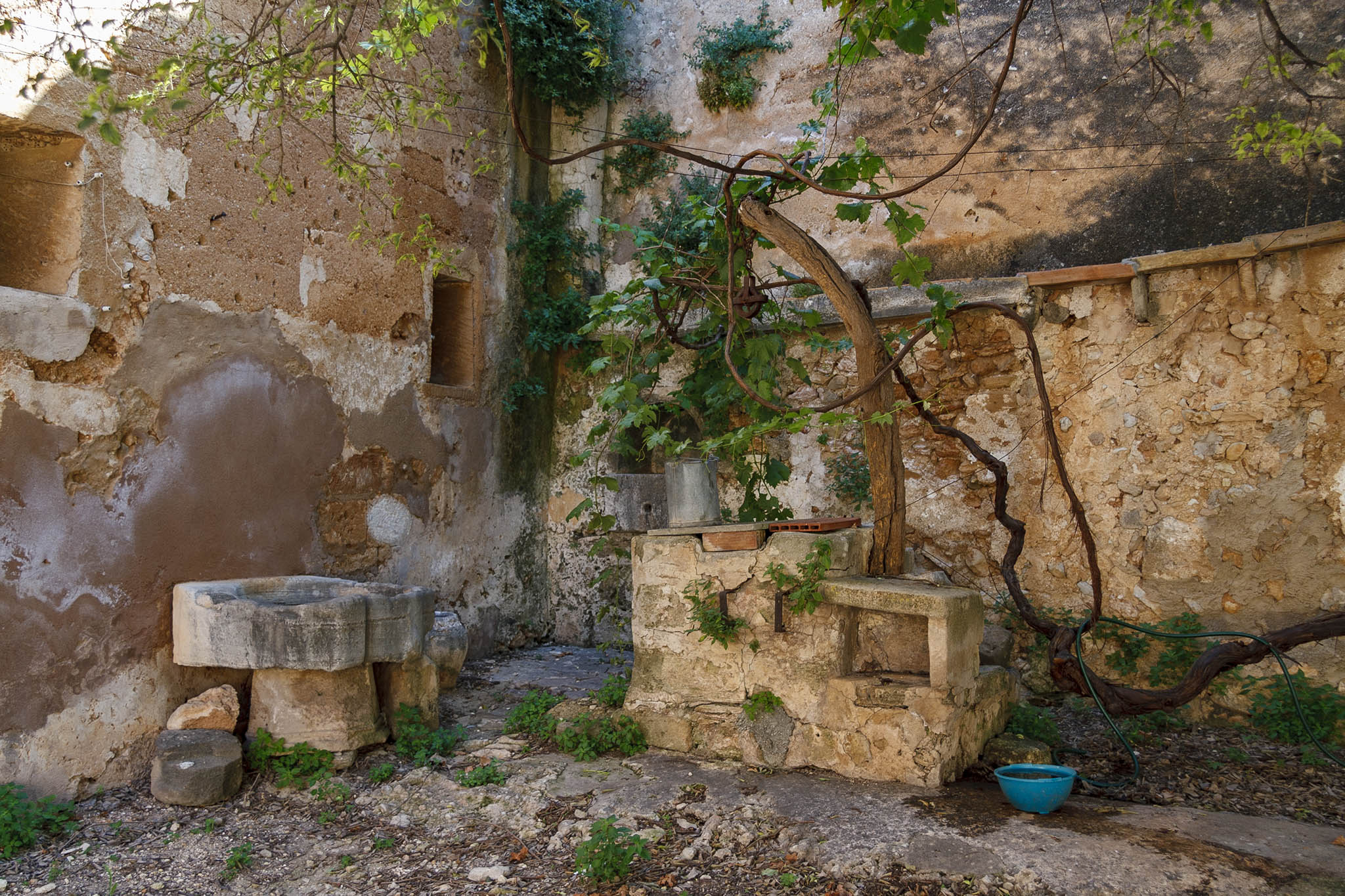 Son Dameto, Les Vinyes, Les Torres, Les Dues Torres