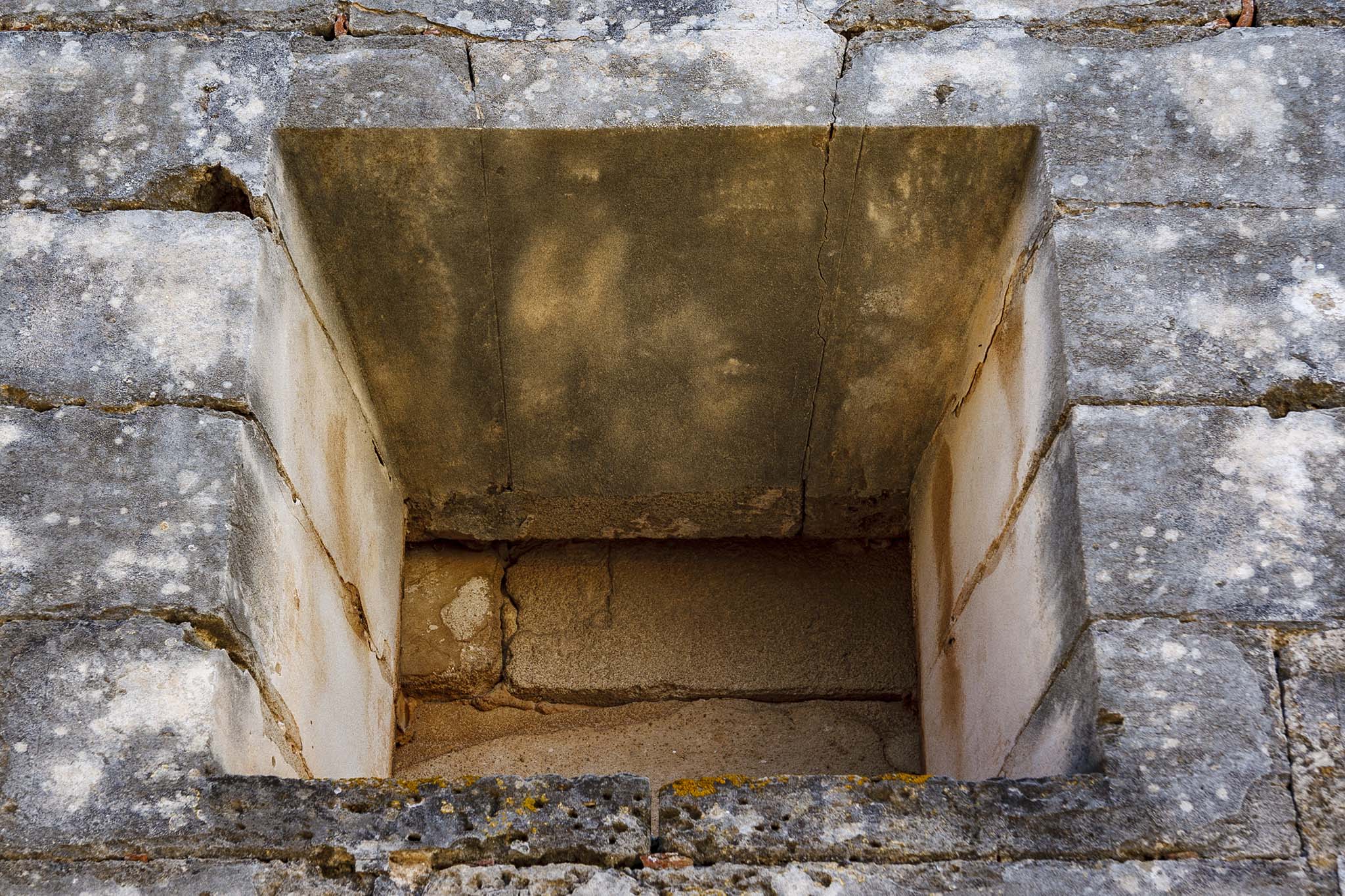 Son Dameto, Les Vinyes, Les Torres, Les Dues Torres