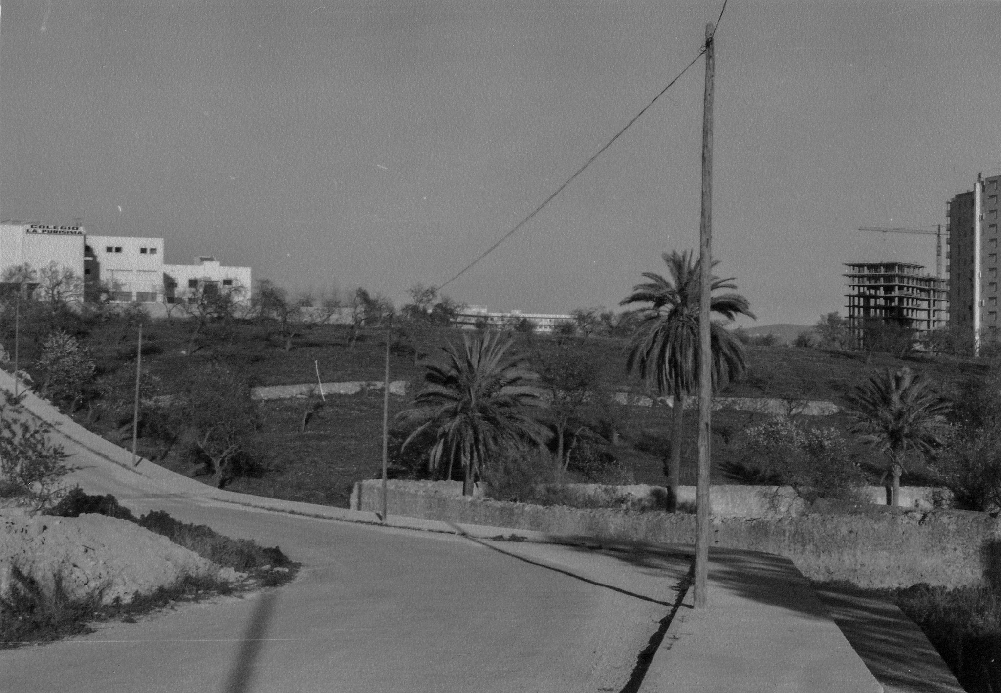 Son Moix Blanc, Bendunis