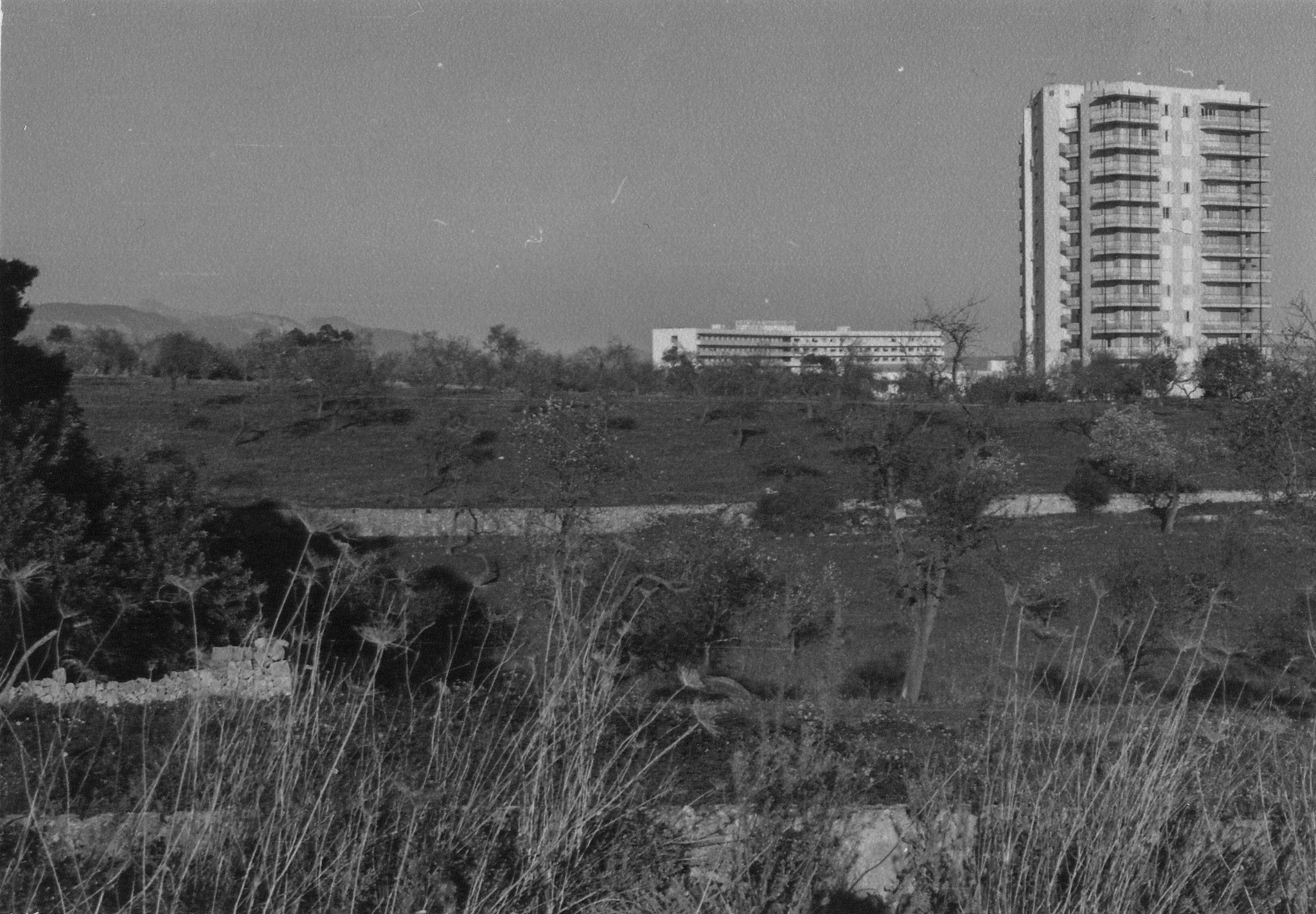 Son Moix Blanc, Bendunis