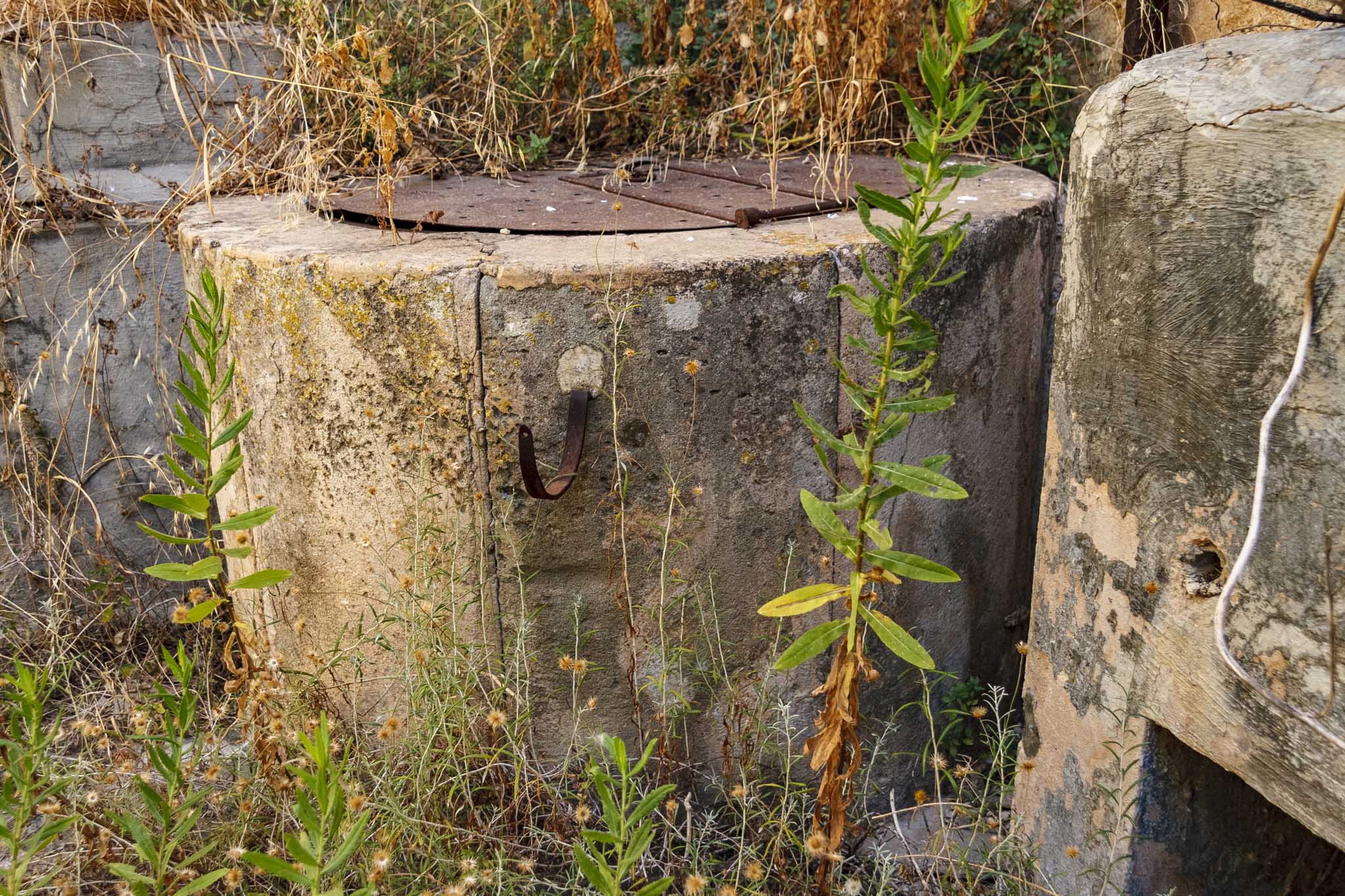 Son Puigdorfila Vell