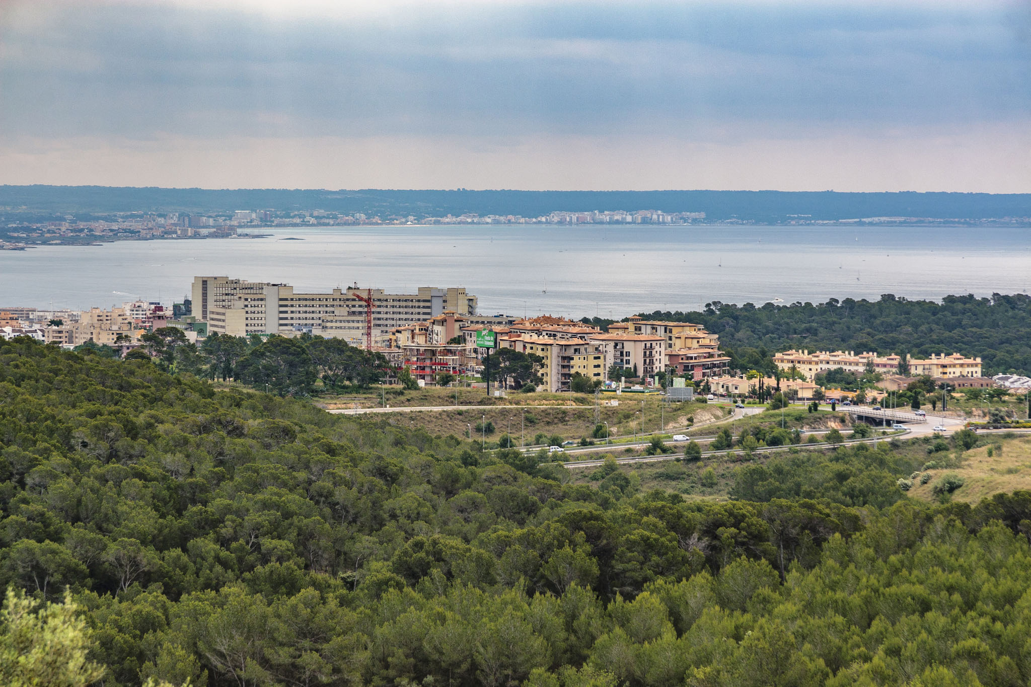 Son Muntaner, Son Muntaneret