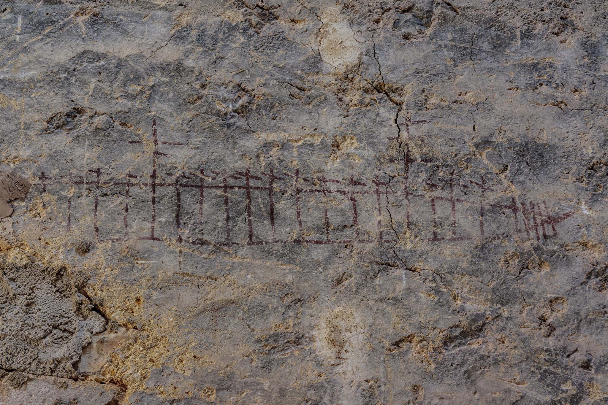 Son Muntaner, Son Muntaneret