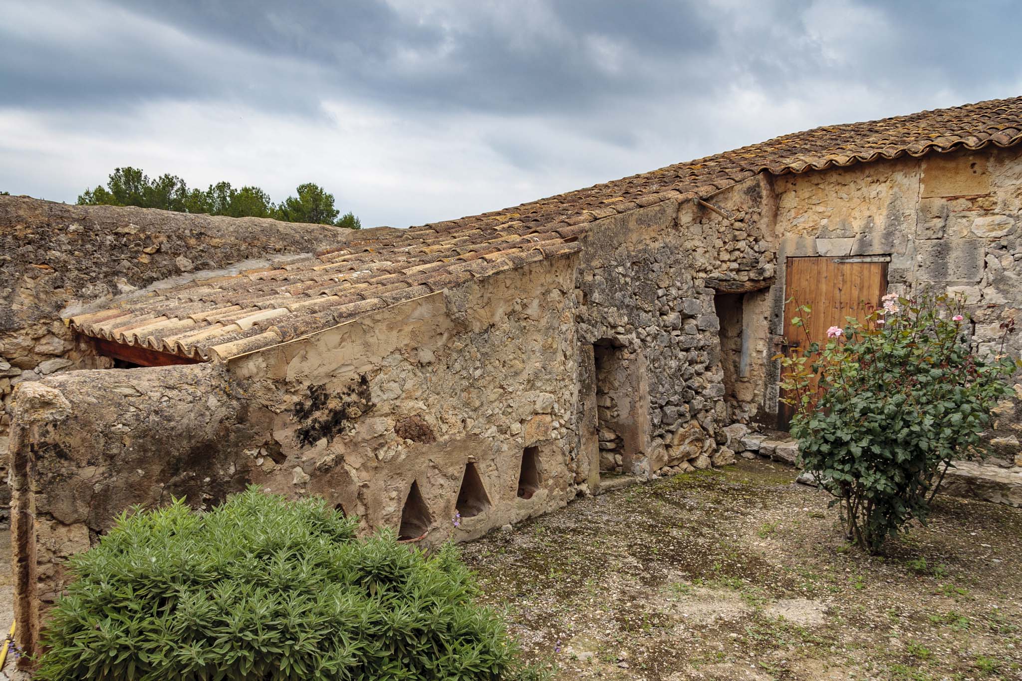 Son Muntaner, Son Muntaneret