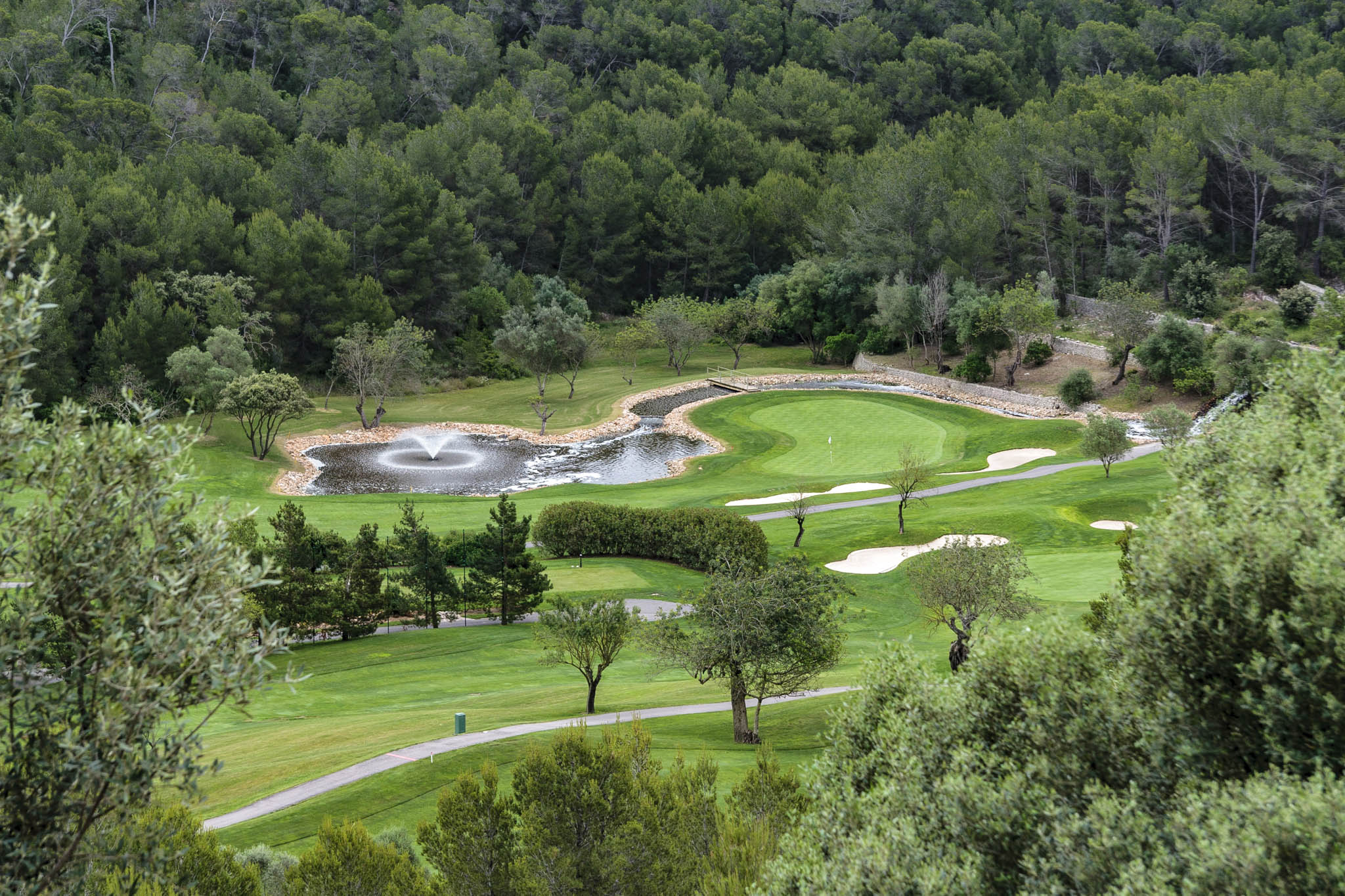 Son Muntaner, Son Muntaneret