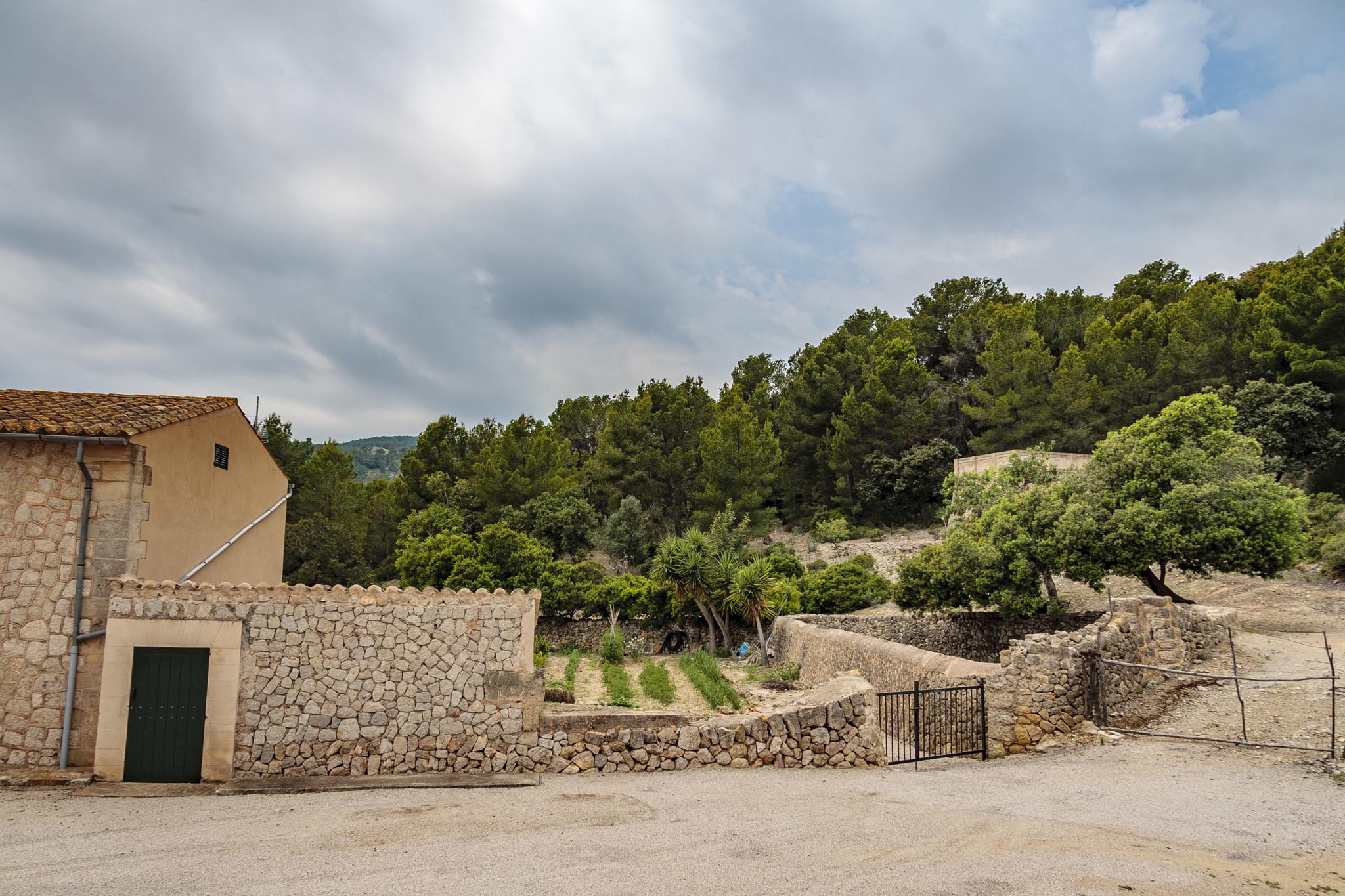 Son Muntaner, Son Muntaneret