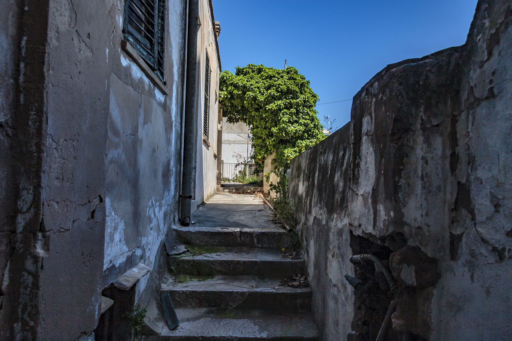 Son Sabater, Cal Senyor Biel