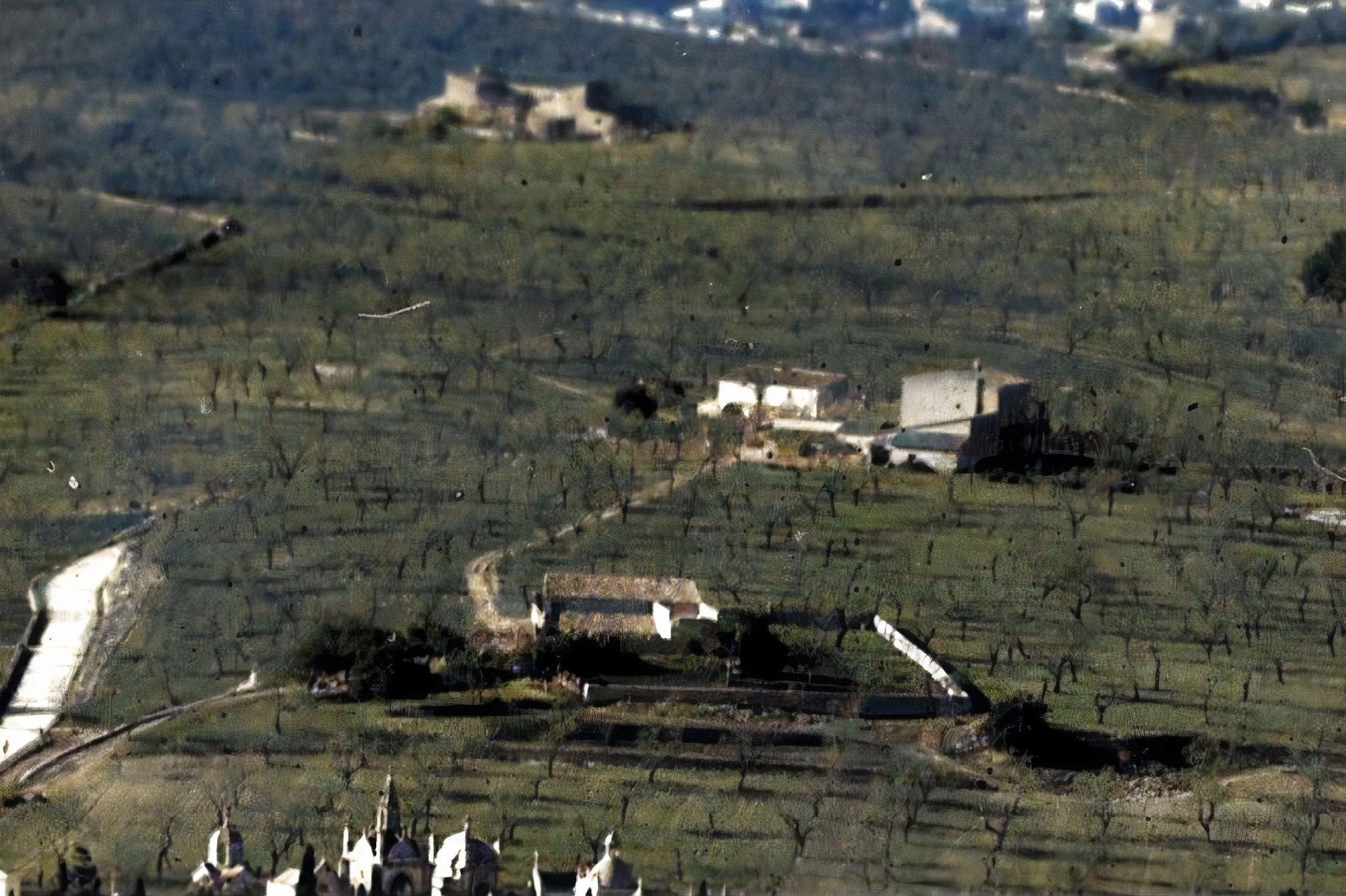 Son Bosquet, Cal Patró Torres, Les Cases Noves