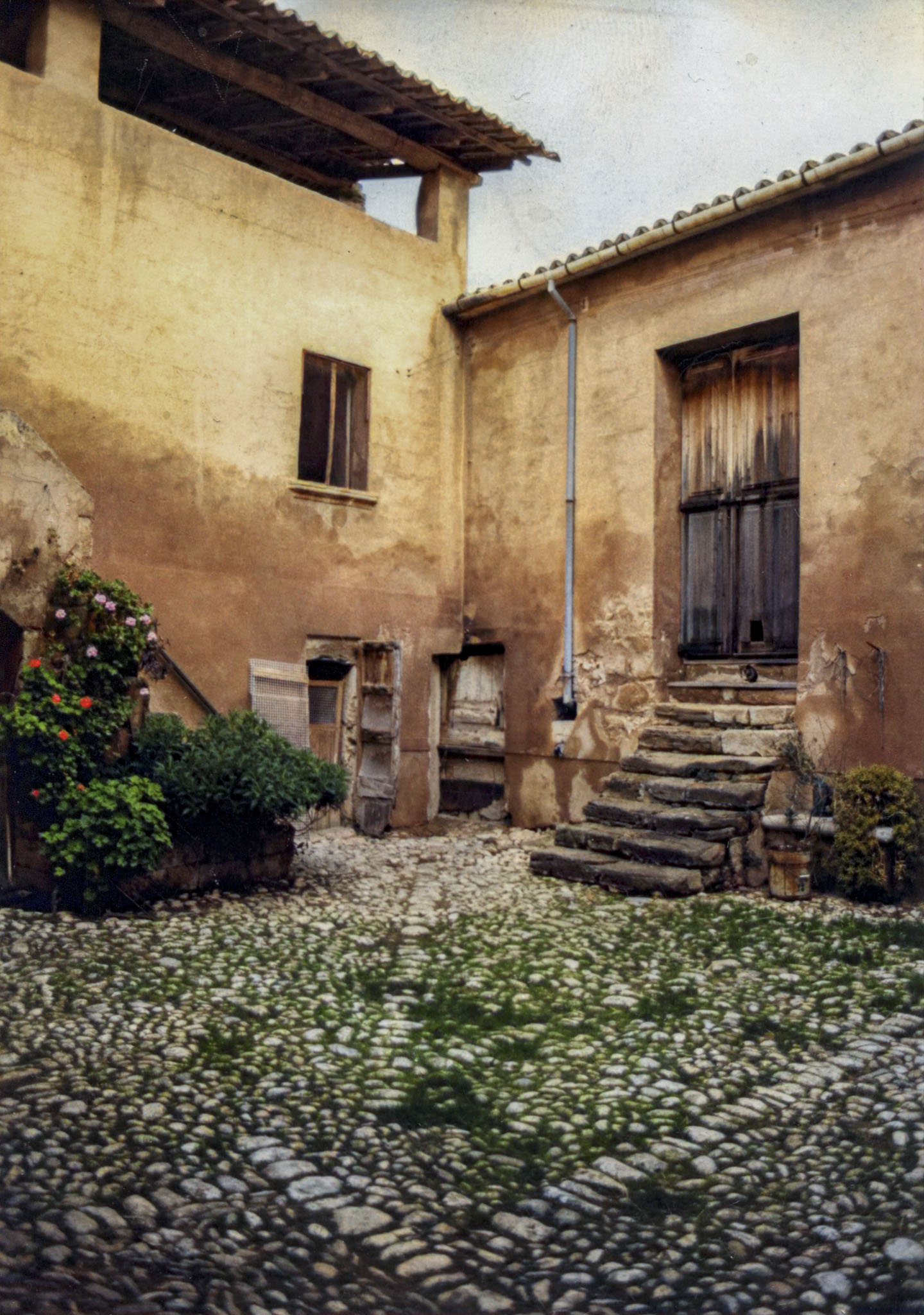 Son Cotoner, Son Cotoner del Vinyet