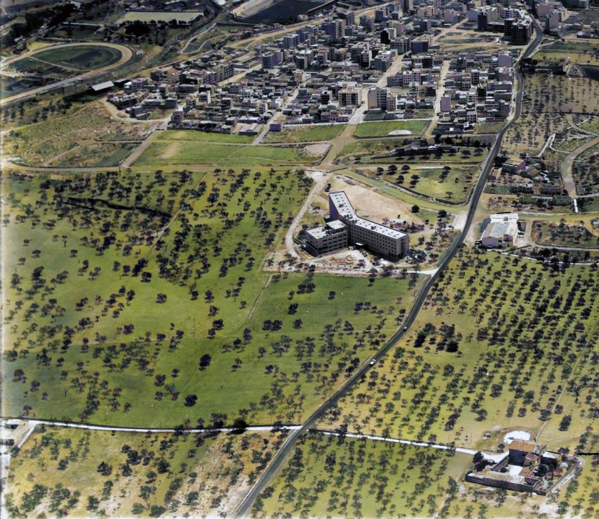 Son Cotoner, Son Cotoner del Vinyet