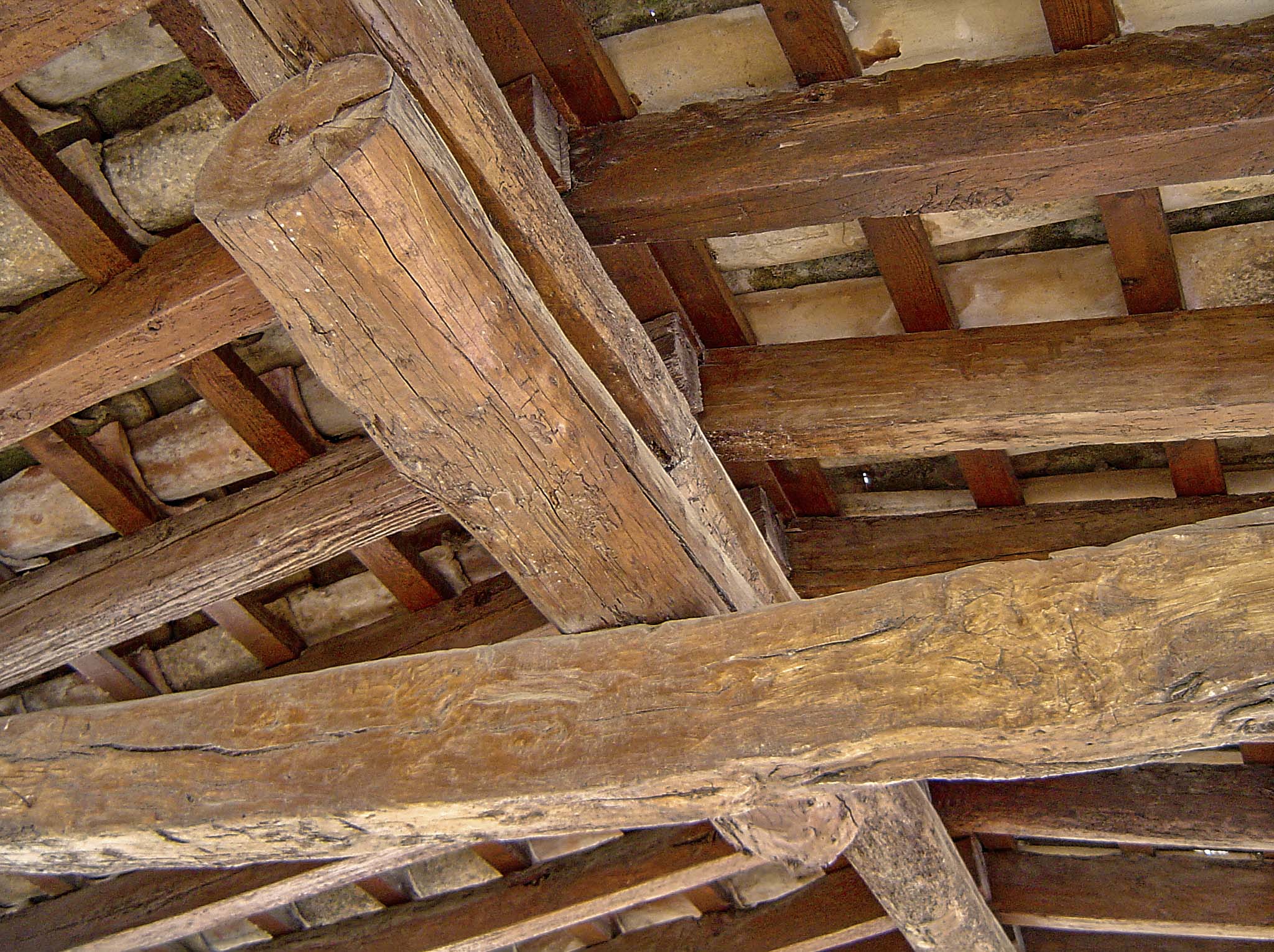 Son Cotoner, Son Cotoner del Vinyet