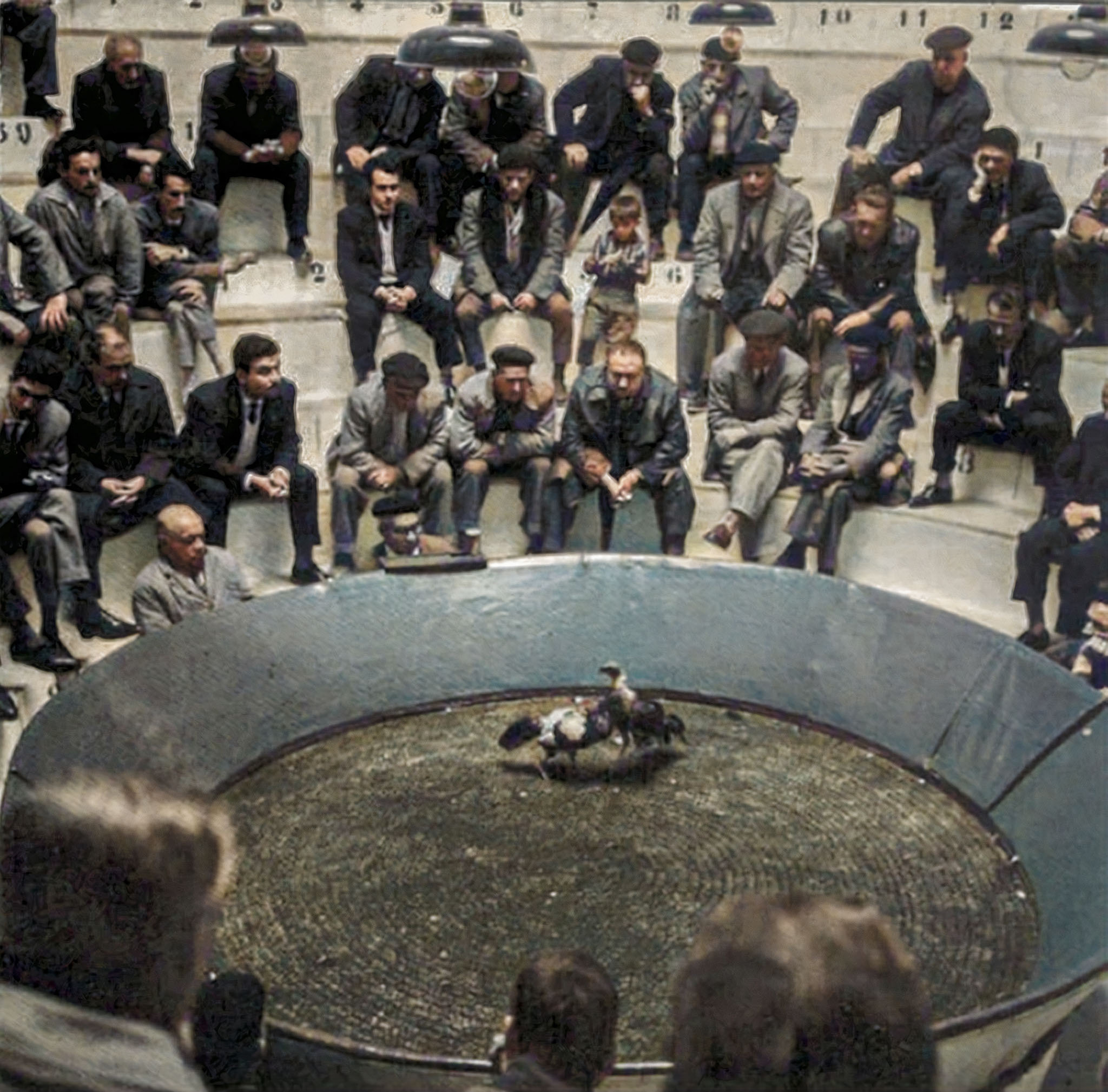 Can Veta, Ca n'Apol·lònia