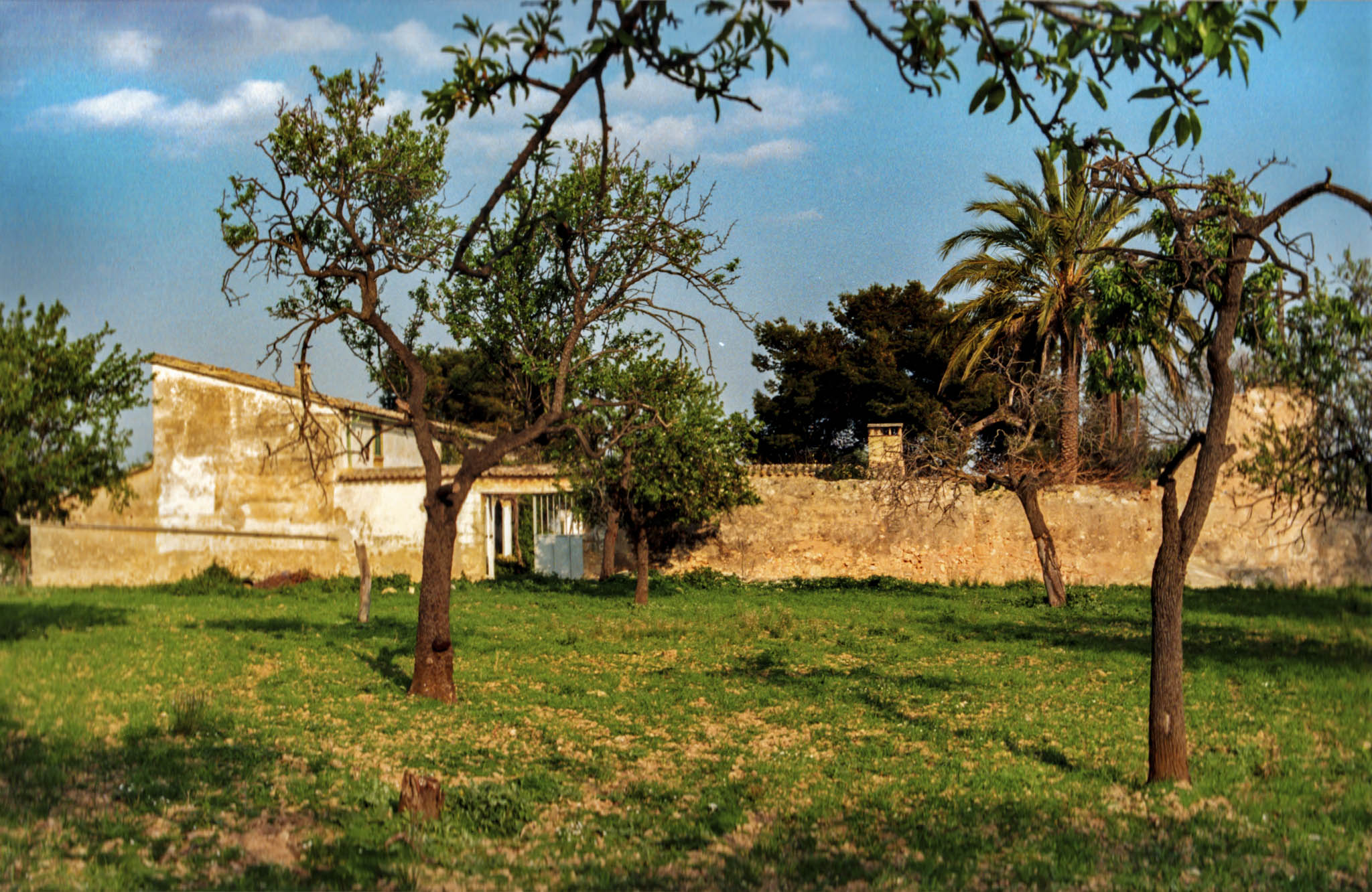Son Eriçó, Ca l’Eriçó, Son Ferragut