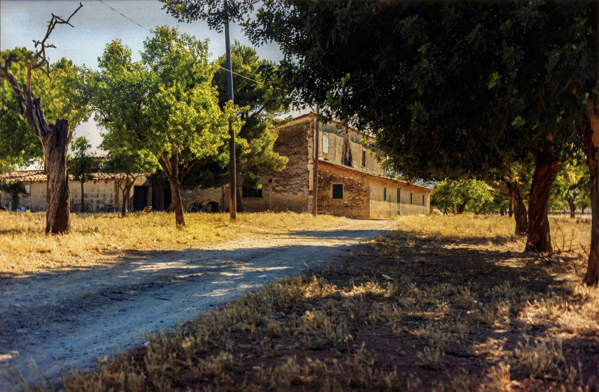 Son Eriçó, Ca l’Eriçó, Son Ferragut