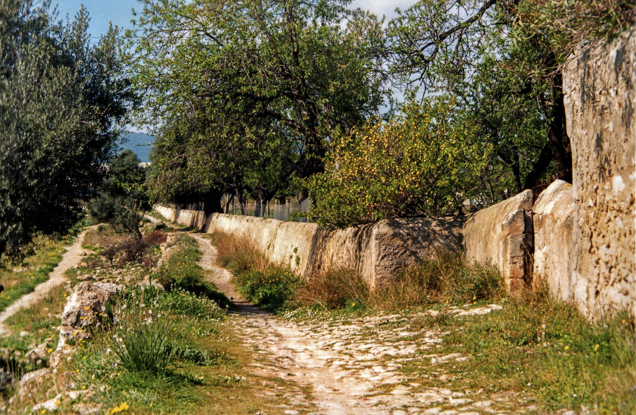 Son Eriçó, Ca l’Eriçó, Son Ferragut